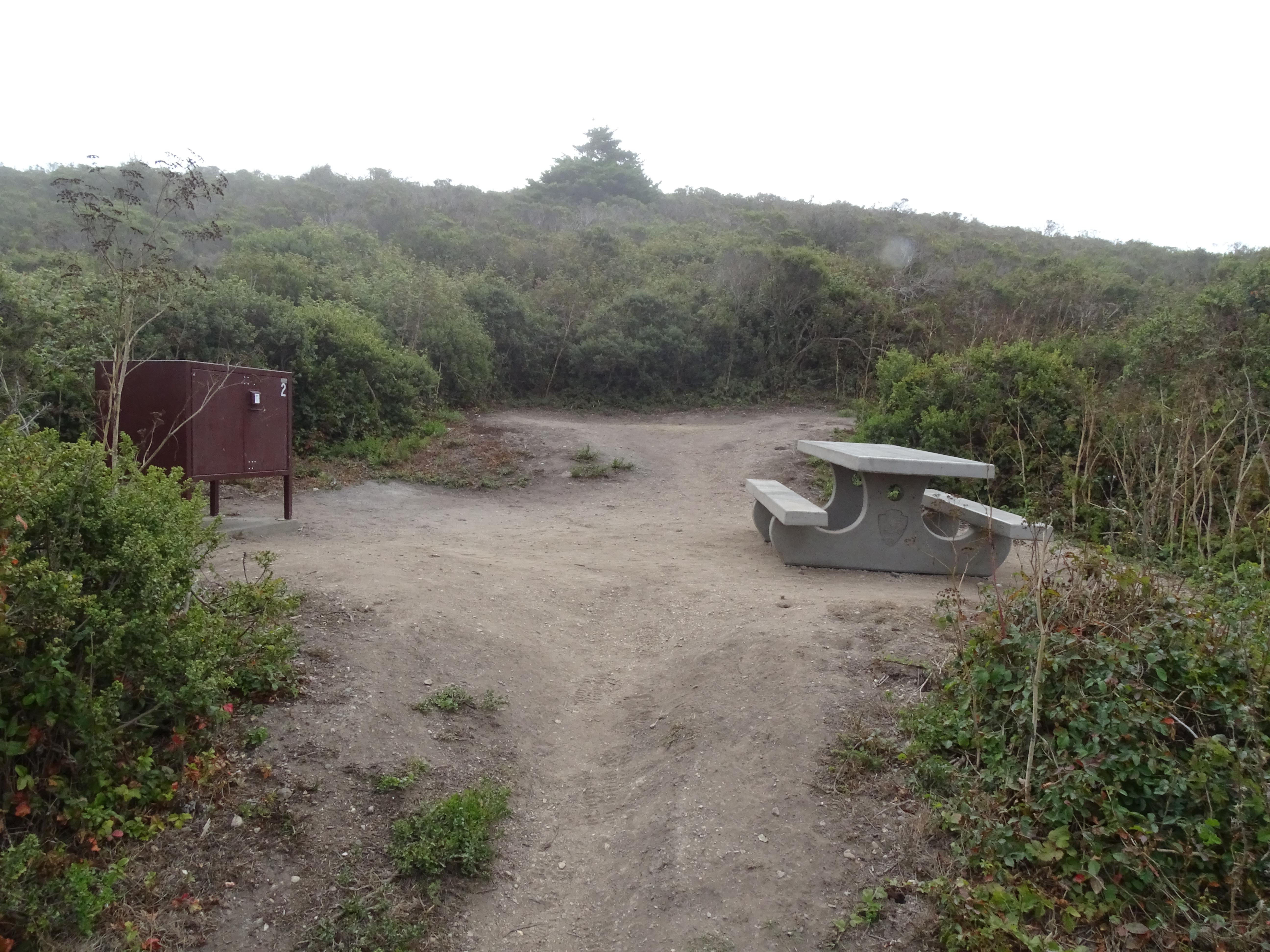 A campsite containing a picnic table and a food storage locker surrounded by shrubs.