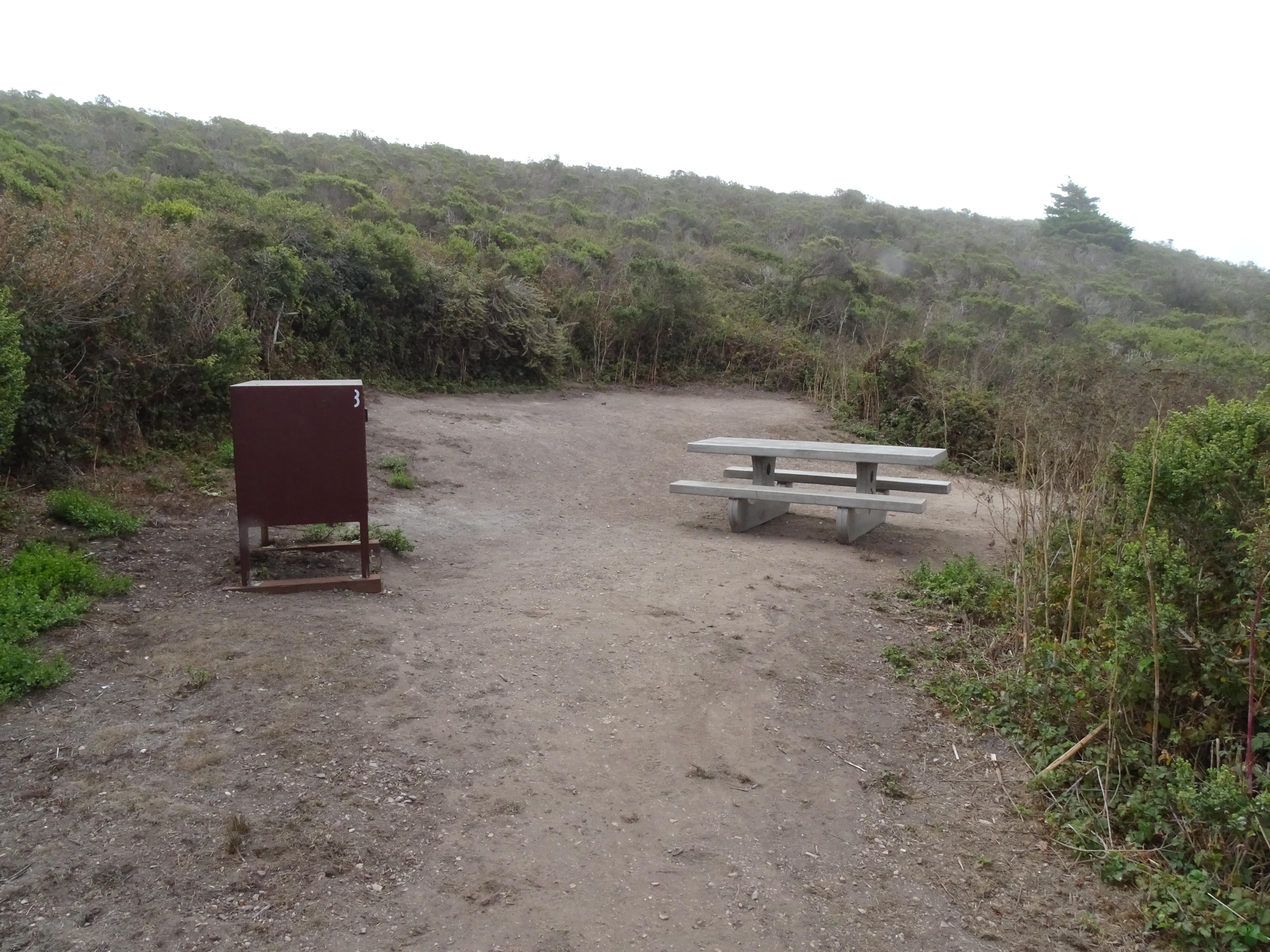 A campsite containing a picnic table and a food storage locker surrounded by shrubs.