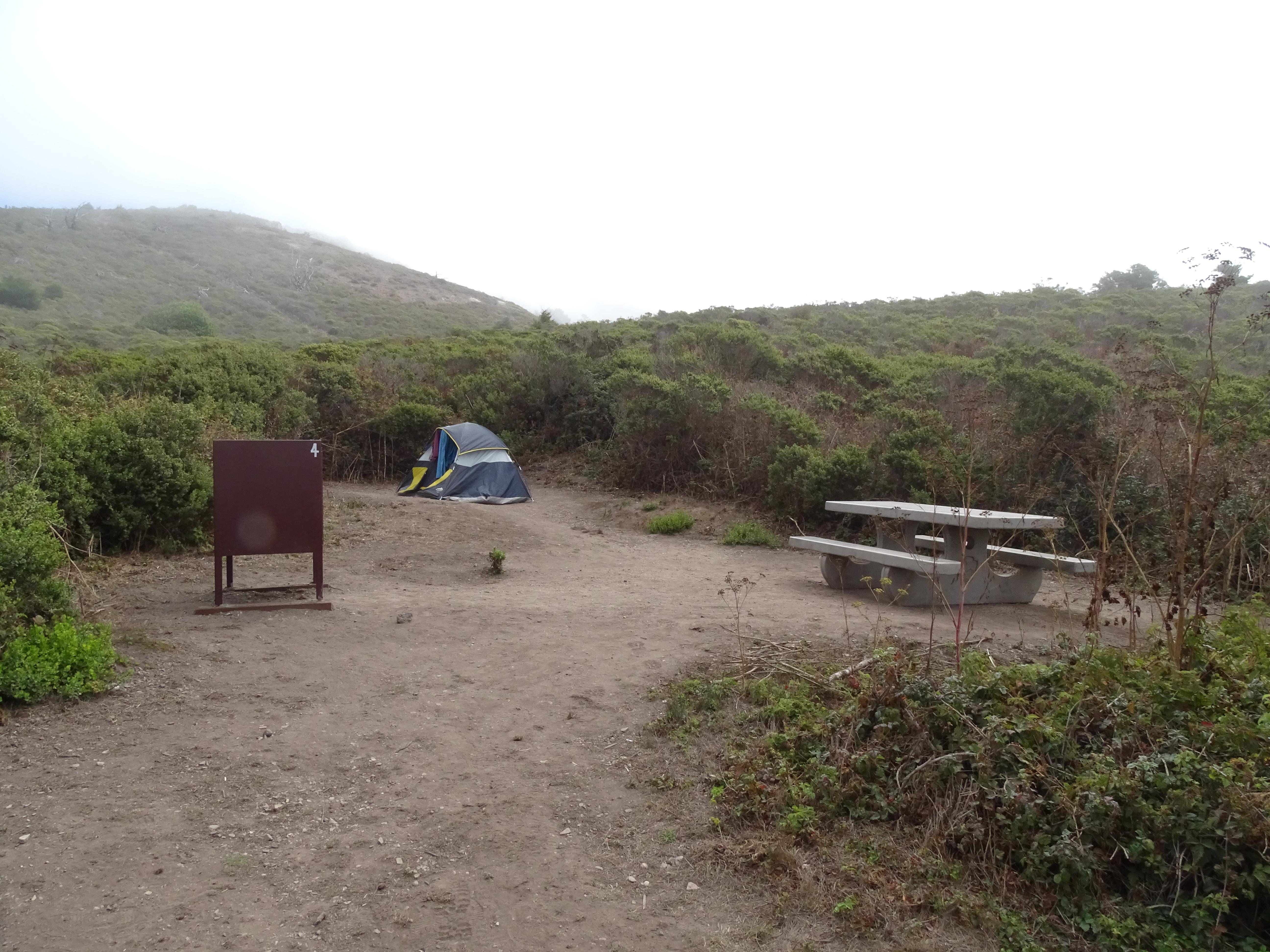 A campsite containing a tent, a picnic table, and a food storage locker surrounded by shrubs.
