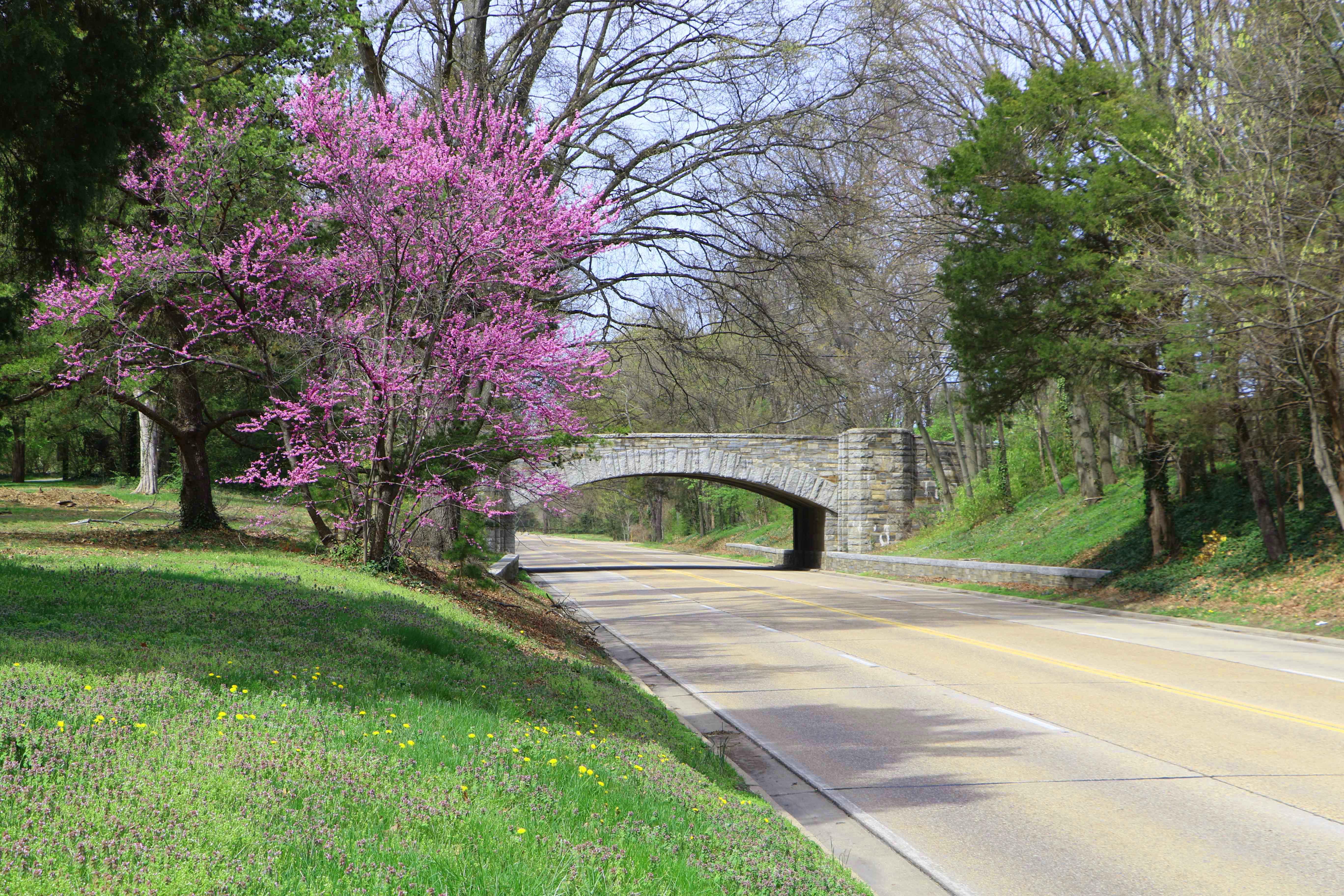 Stone Bridge Along the George Washington Memorial Parkway