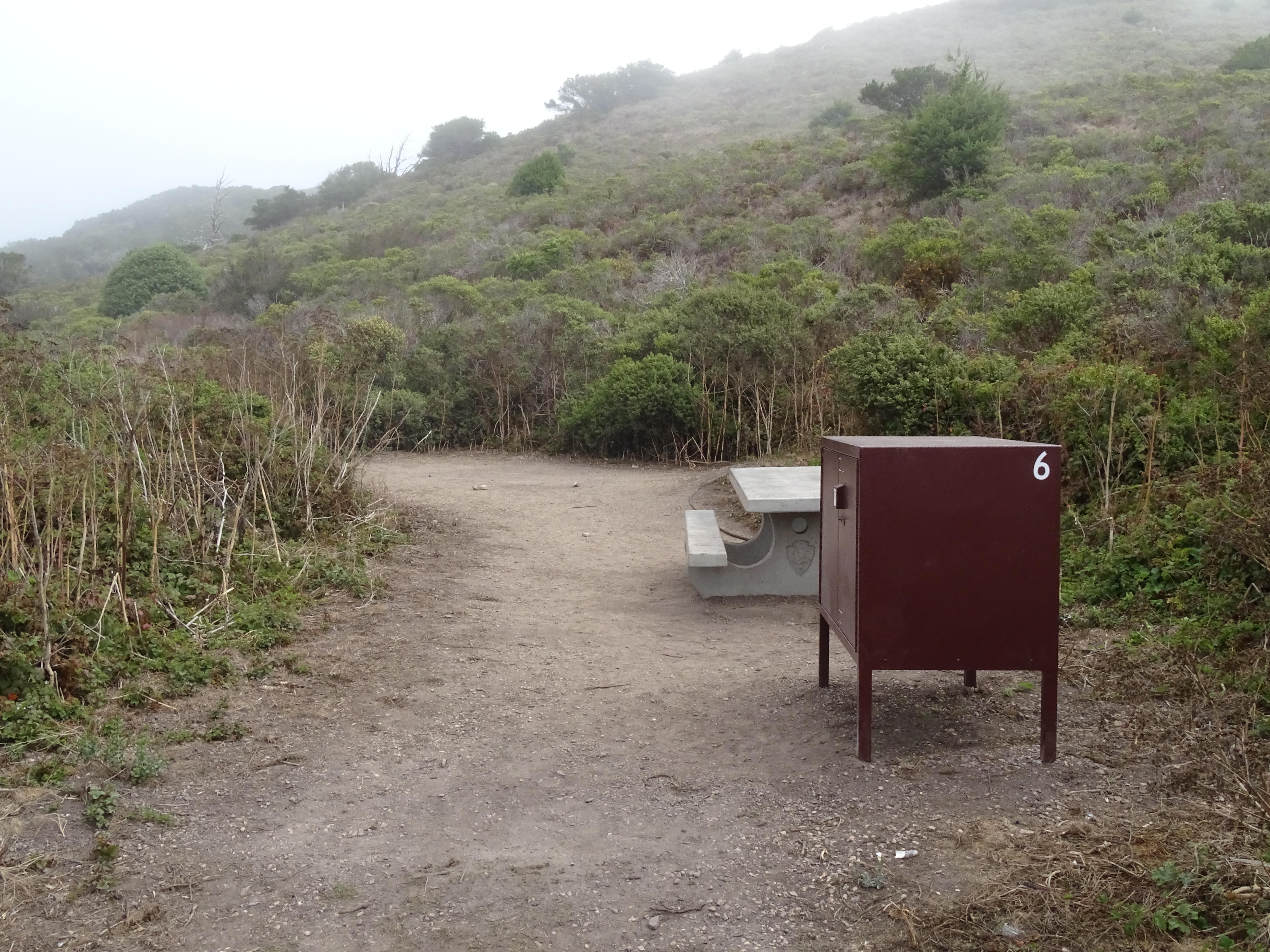 A campsite containing a picnic table and a food storage locker surrounded by shrubs.