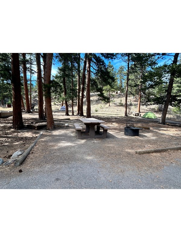 Campsite 31 - Picnic Table and Fire Ring
