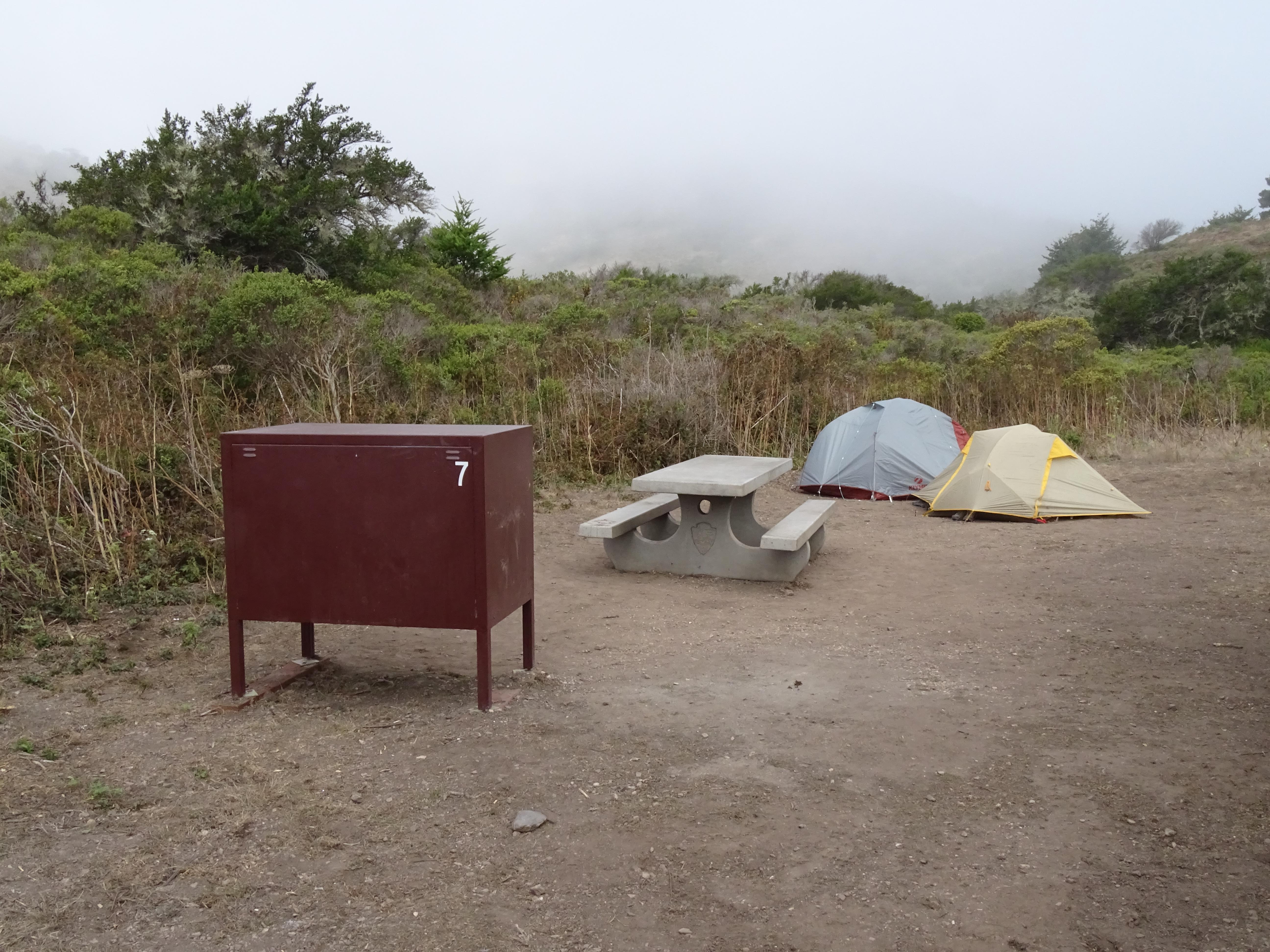 A campsite containing two small tents, a picnic table and a food storage locker.