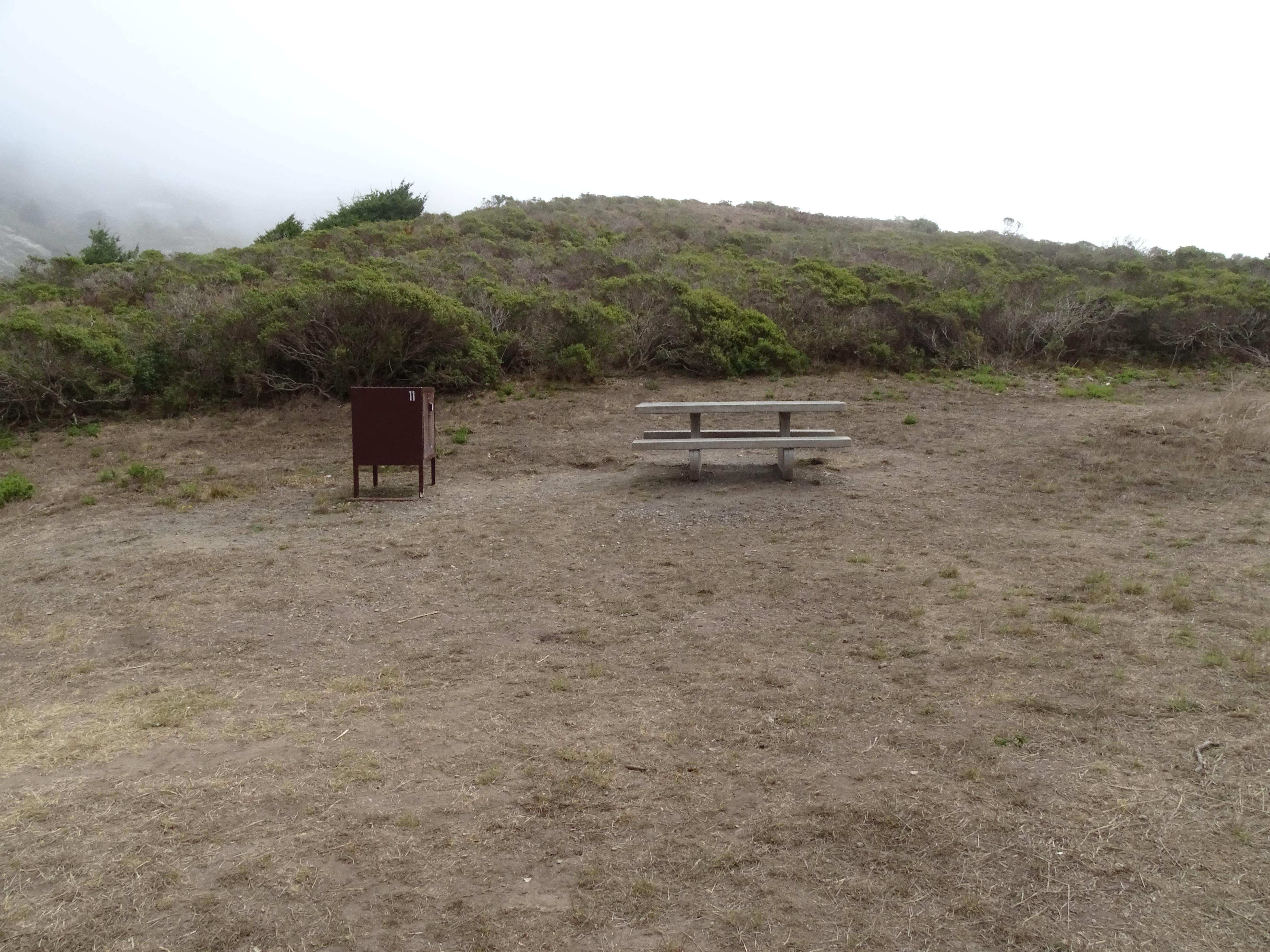 A campsite containing a picnic table and a food storage locker in front of a shrub-covered hill.