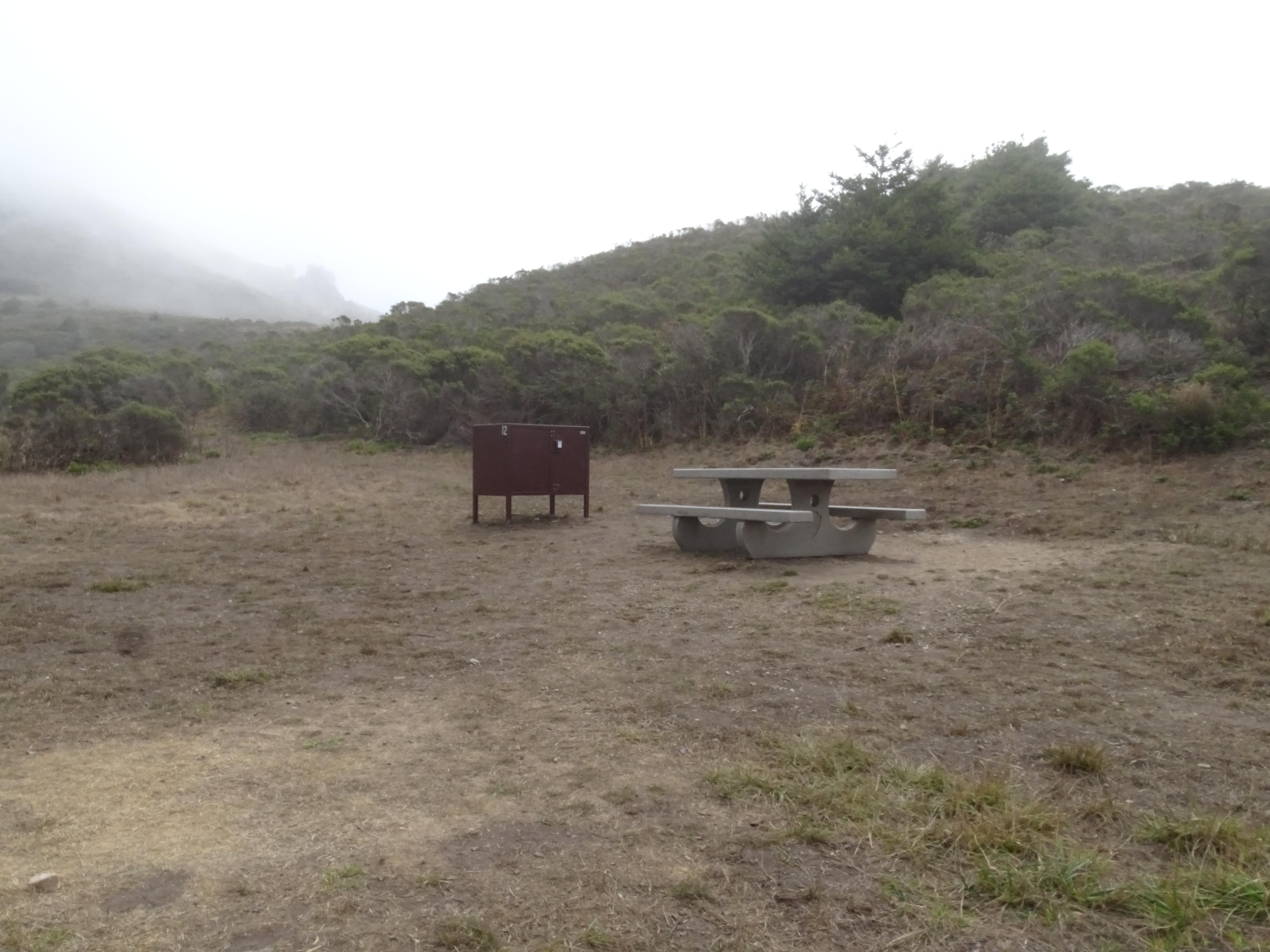 A campsite containing a picnic table and a food storage locker in front of a shrub-covered hill.