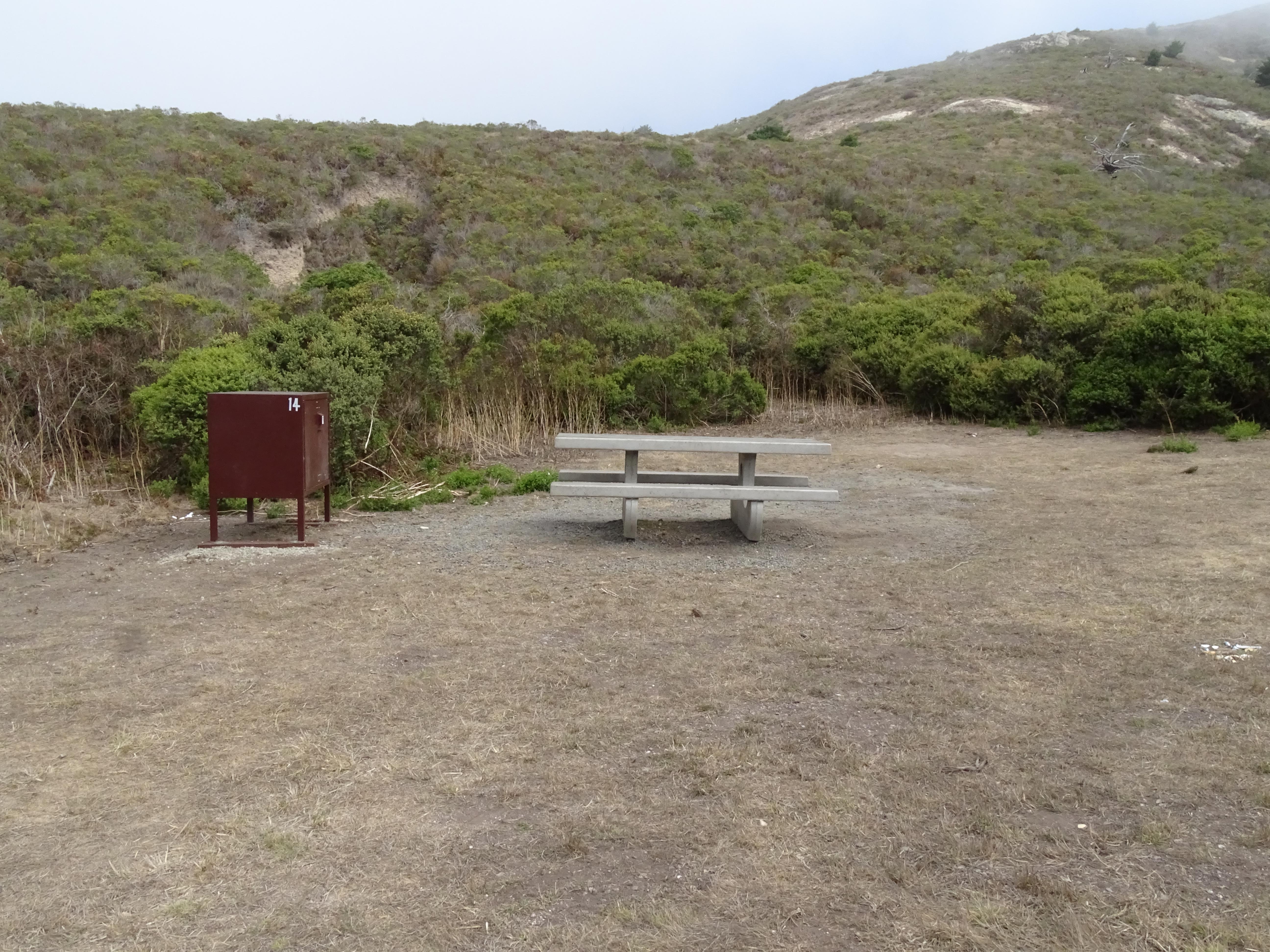 A campsite containing a picnic table and a food storage locker in front of a shrub-covered hill.
