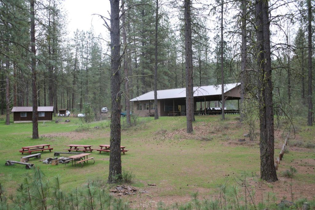 A few benches and a large shade structure in the background, surrounded by pine trees.