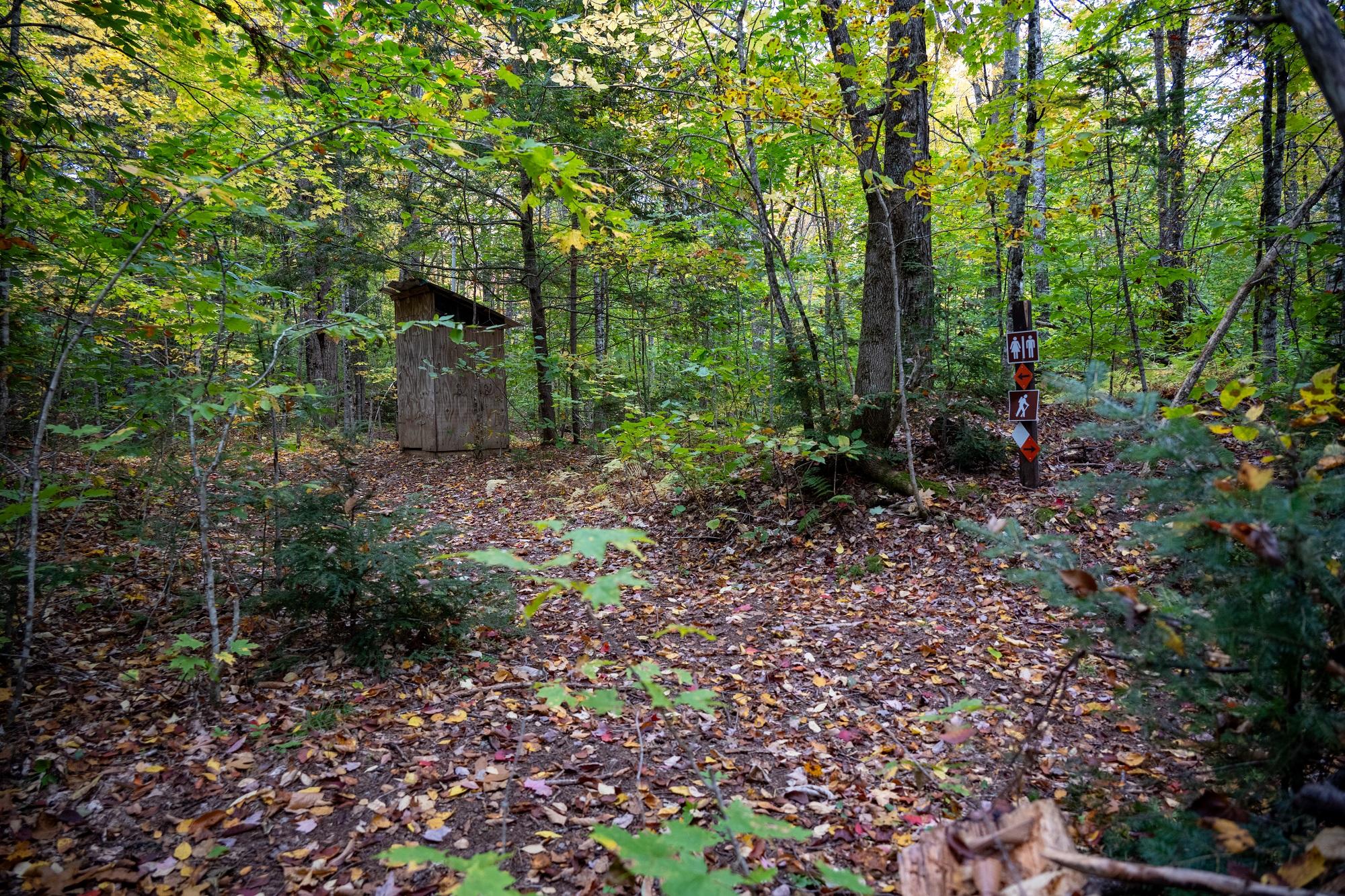A wooden outhouse is tucked in the woods off a main dirt trail.
