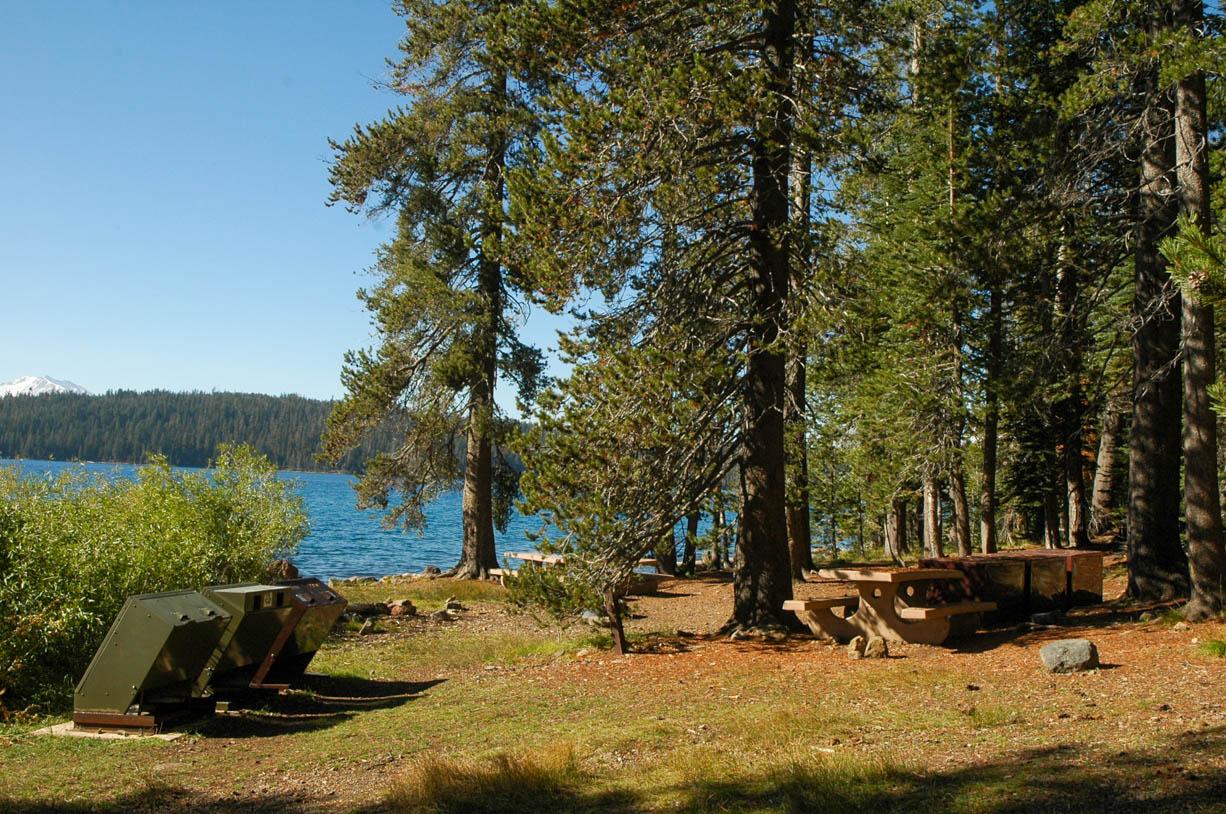 Trash receptacles and picnic tables amid conifer trees on the edge of a mountain lake.