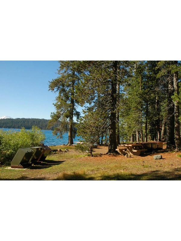 Trash receptacles and picnic tables amid conifer trees on the edge of a mountain lake.