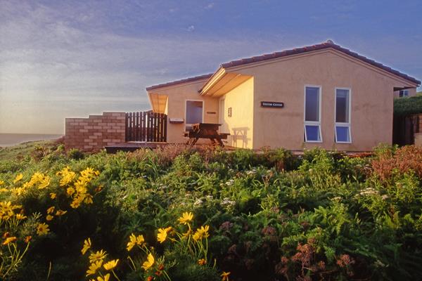 small building on an ocean bluff with green plants and yellow flowers in front.