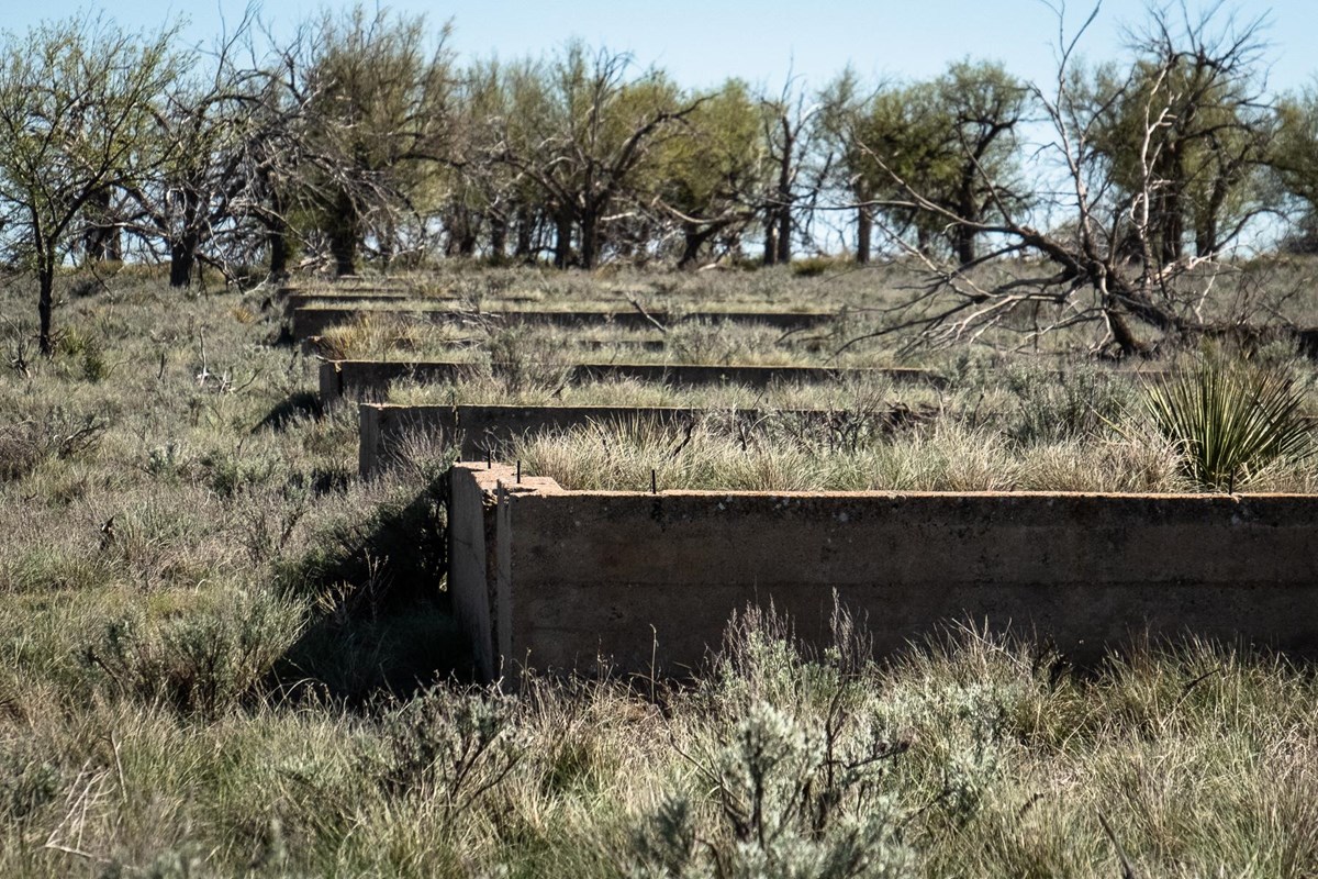 A row of concrete foundations in a dry grassy field with a group of trees in the background. 
