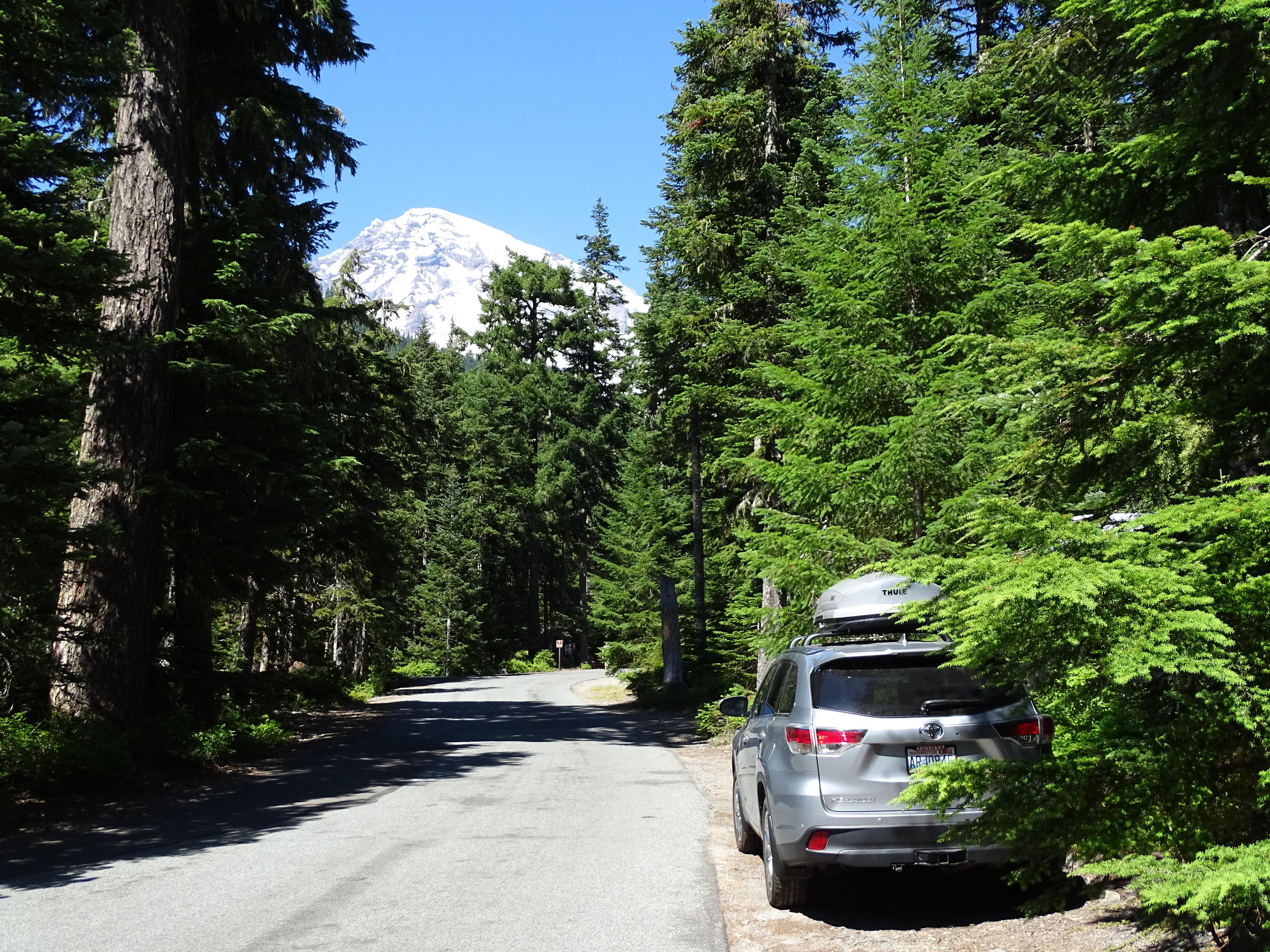 A forest road with the top of Mount Rainier poking out over the trees.