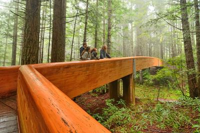 Redwood National and State Parks — Visitors on walkway to Lady Bird Johnson Grove