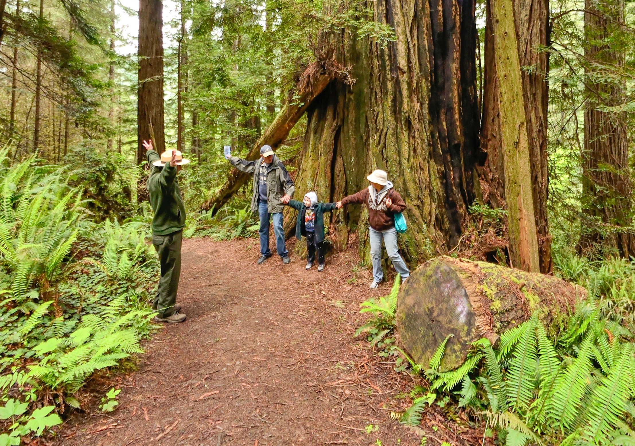 Two adults and a child stand next to a tree while a ranger nearby opens his arms wide.