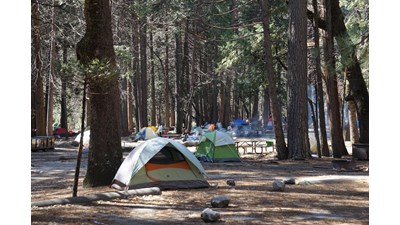 Tents in sites within Camp 4.