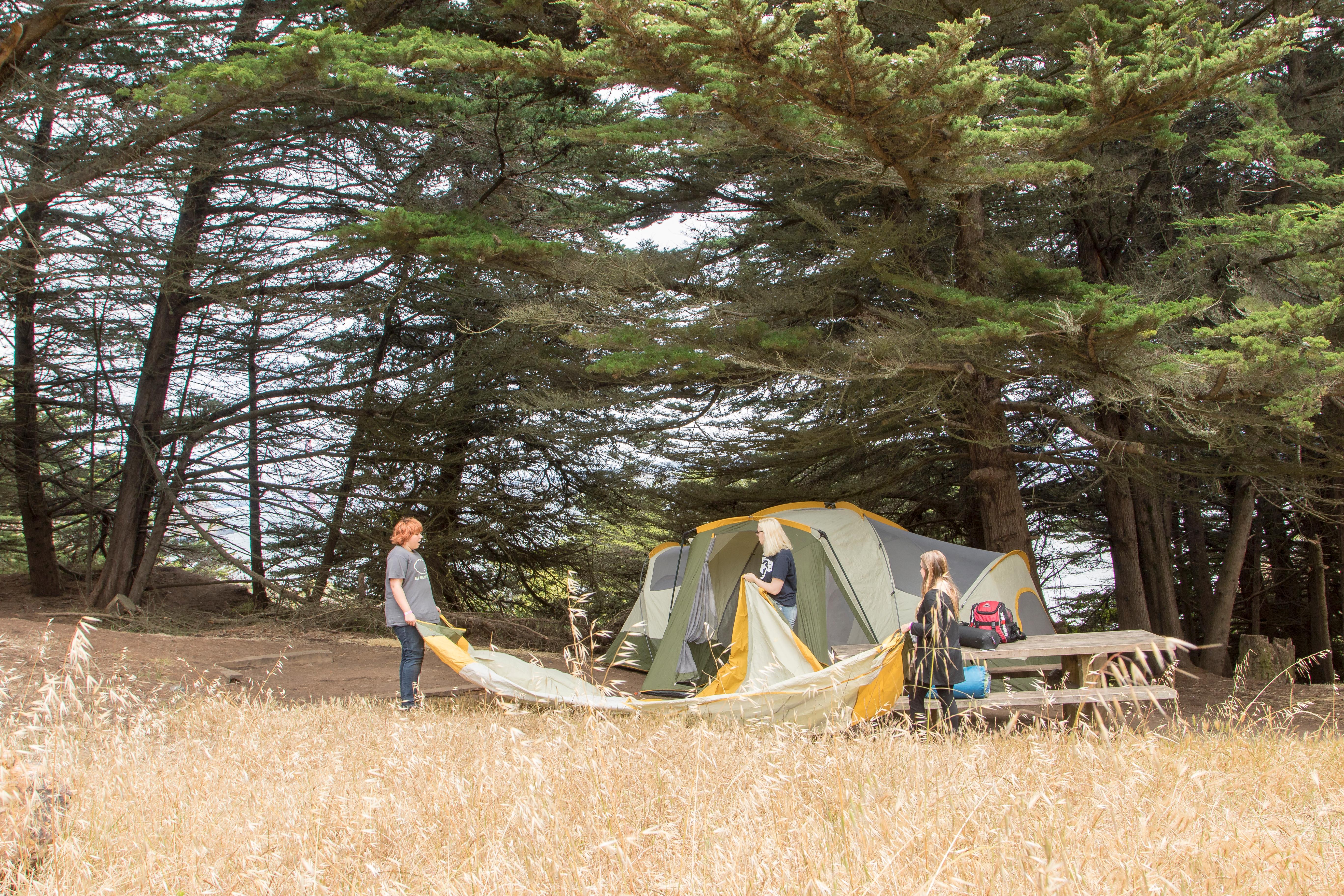 Campers set up a tent in a dry, grassy field with green cypresses behind them.