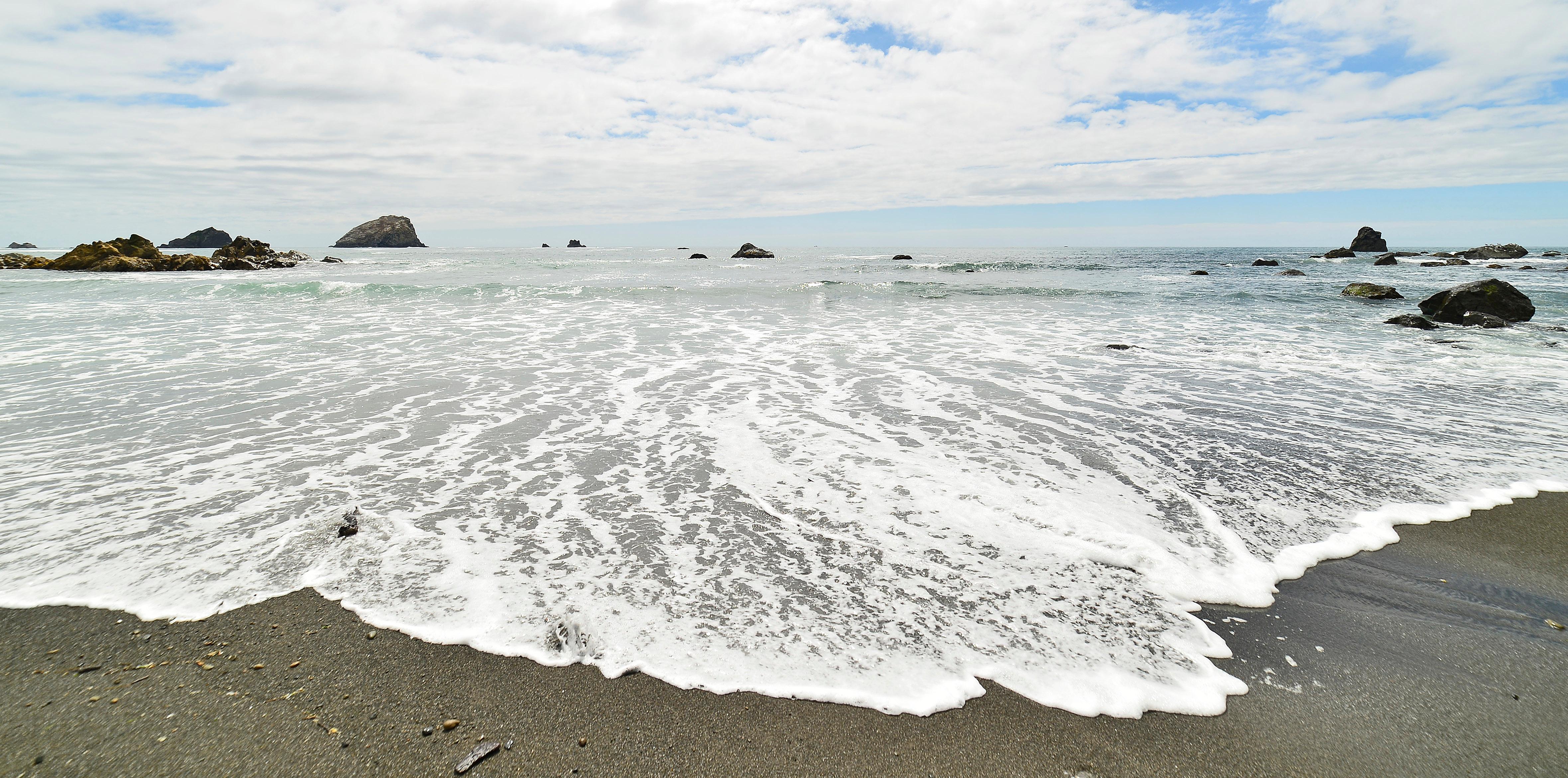 Coastline at Redwood National Park