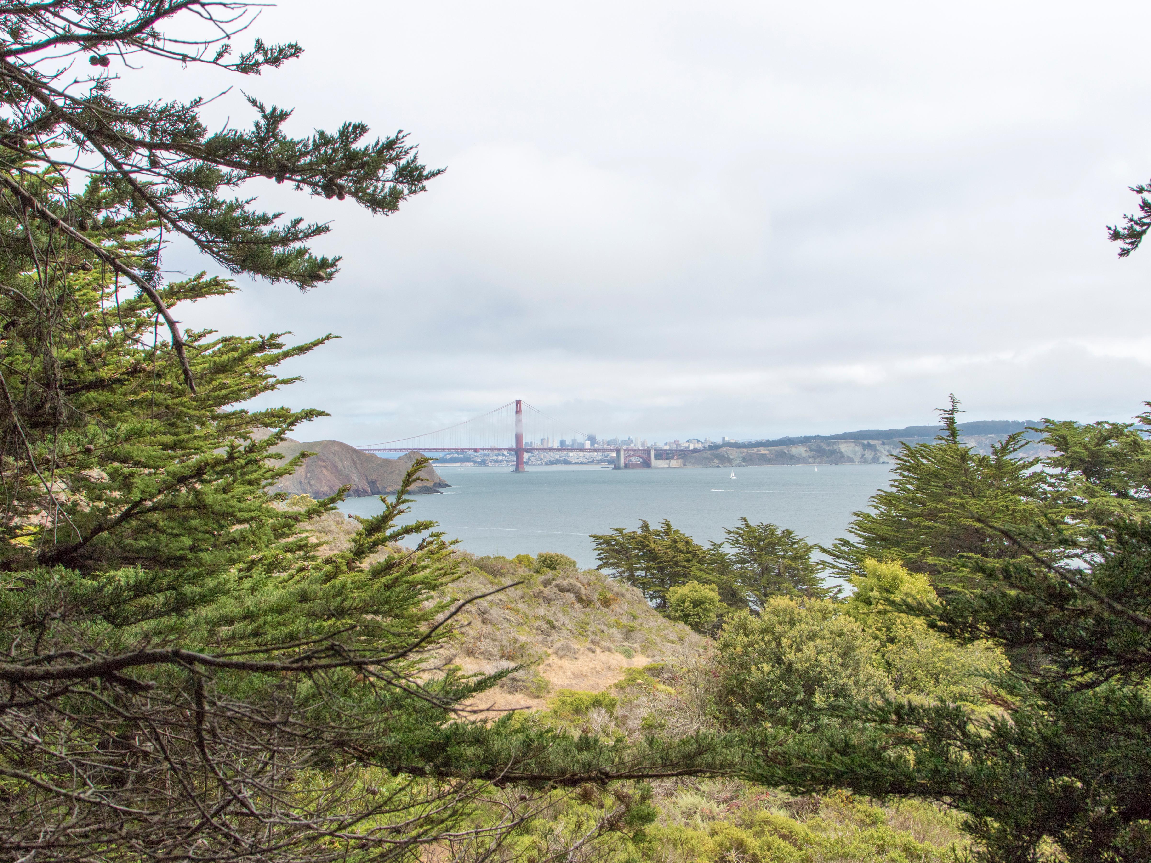 The view of the Golden Gate Bridge from the campground.