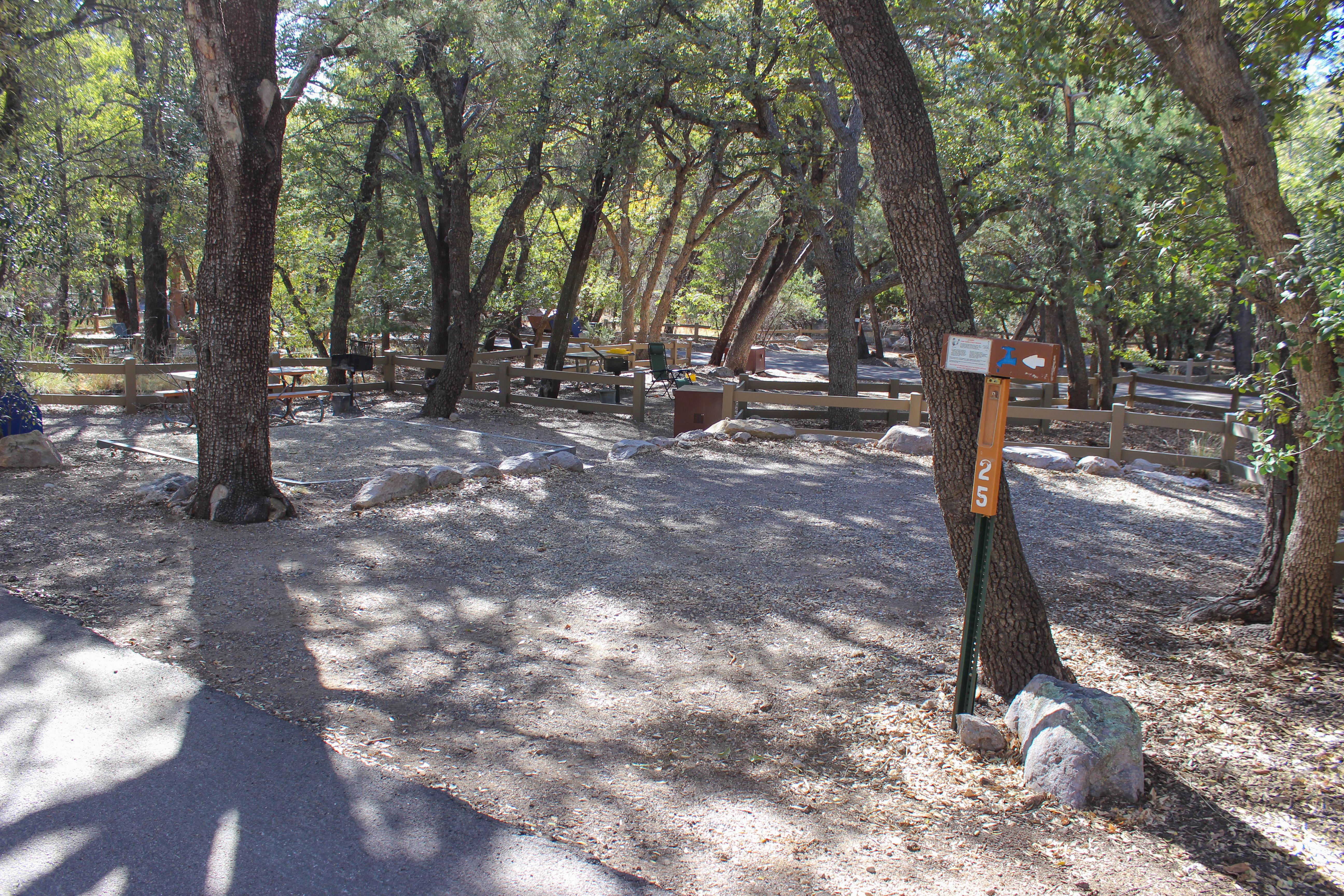 a parking area, tent pad, stand up grill, and picnic table sit under tall trees