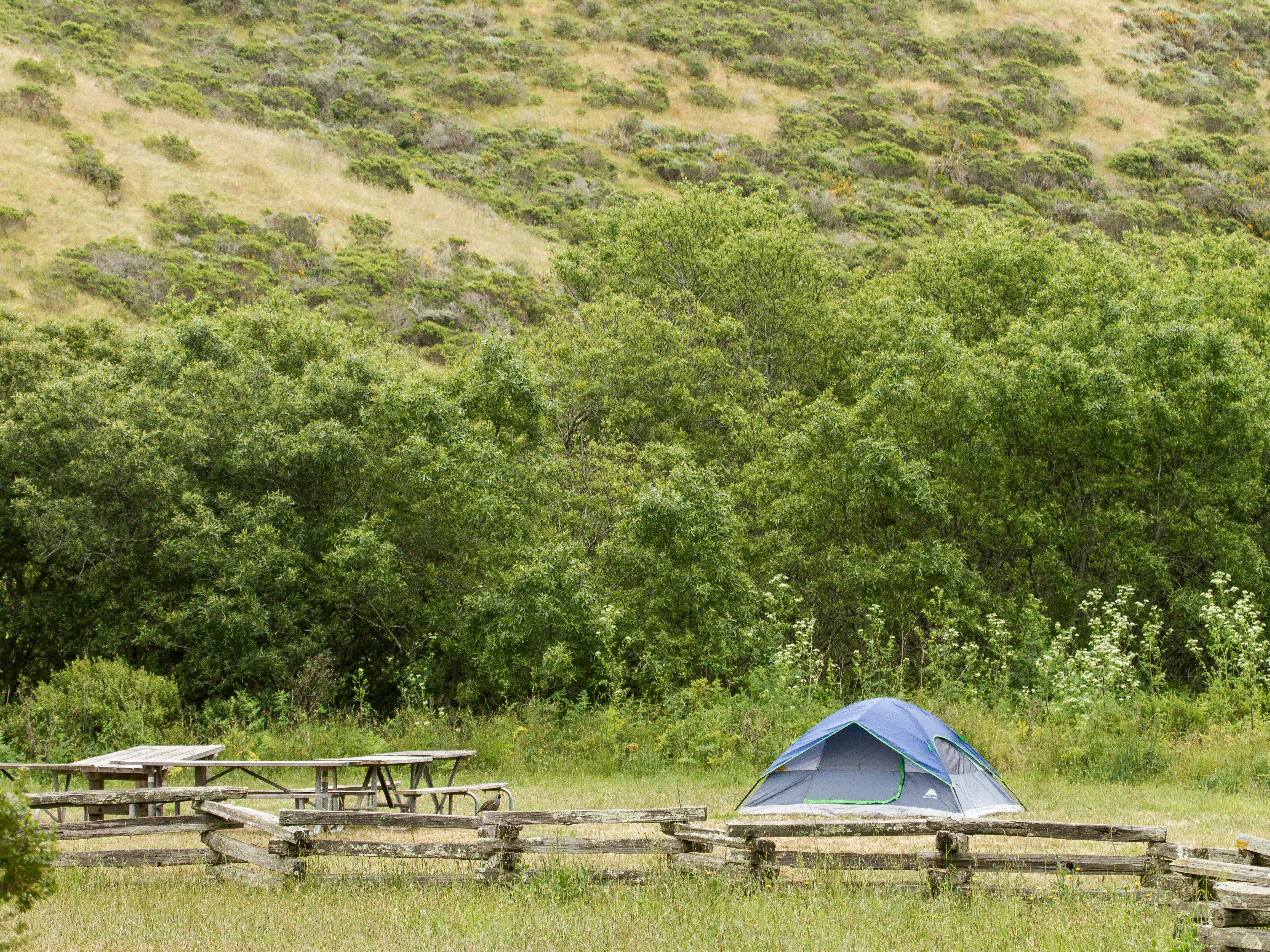 The lush green environs of Haypress with a slat-rail fence and blue tent in the foreground.