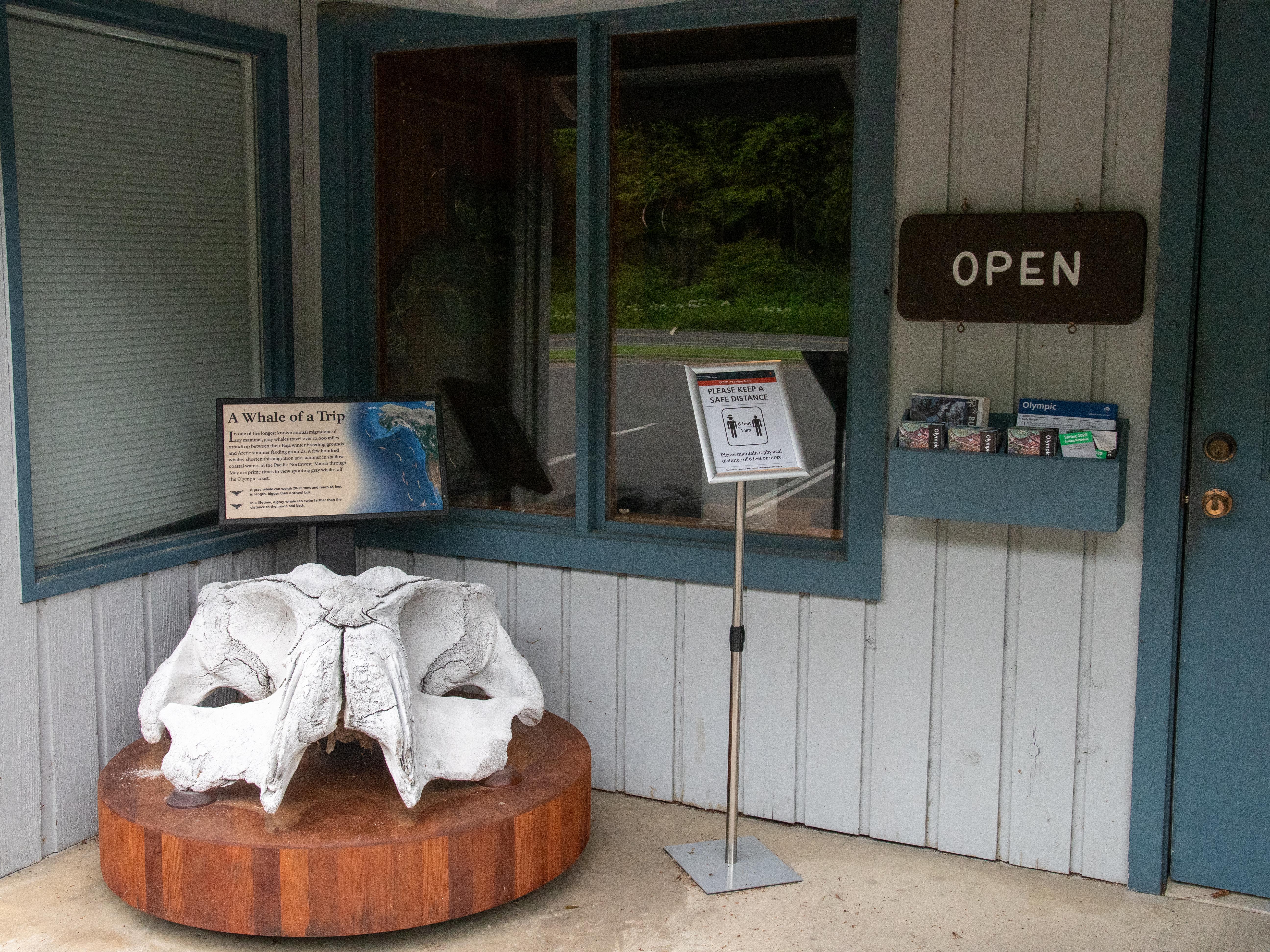 A whale skull displayed outside a building.