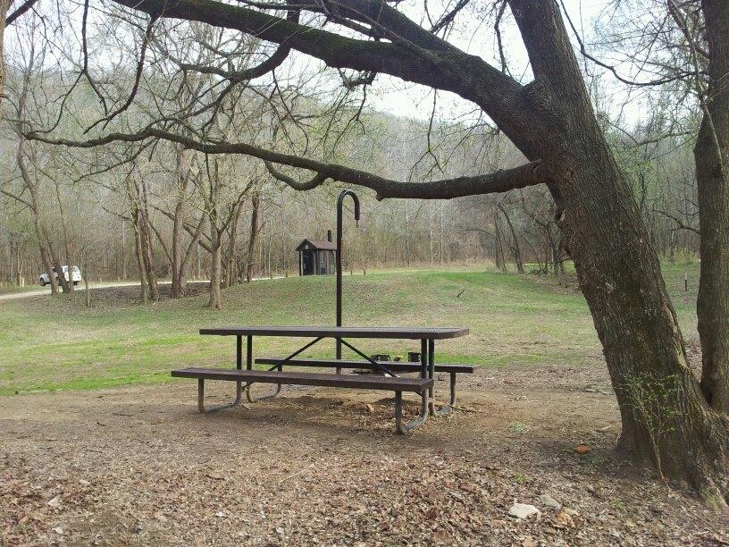 view of open grass area with picnic table under tree in foreground and vault toilet in background