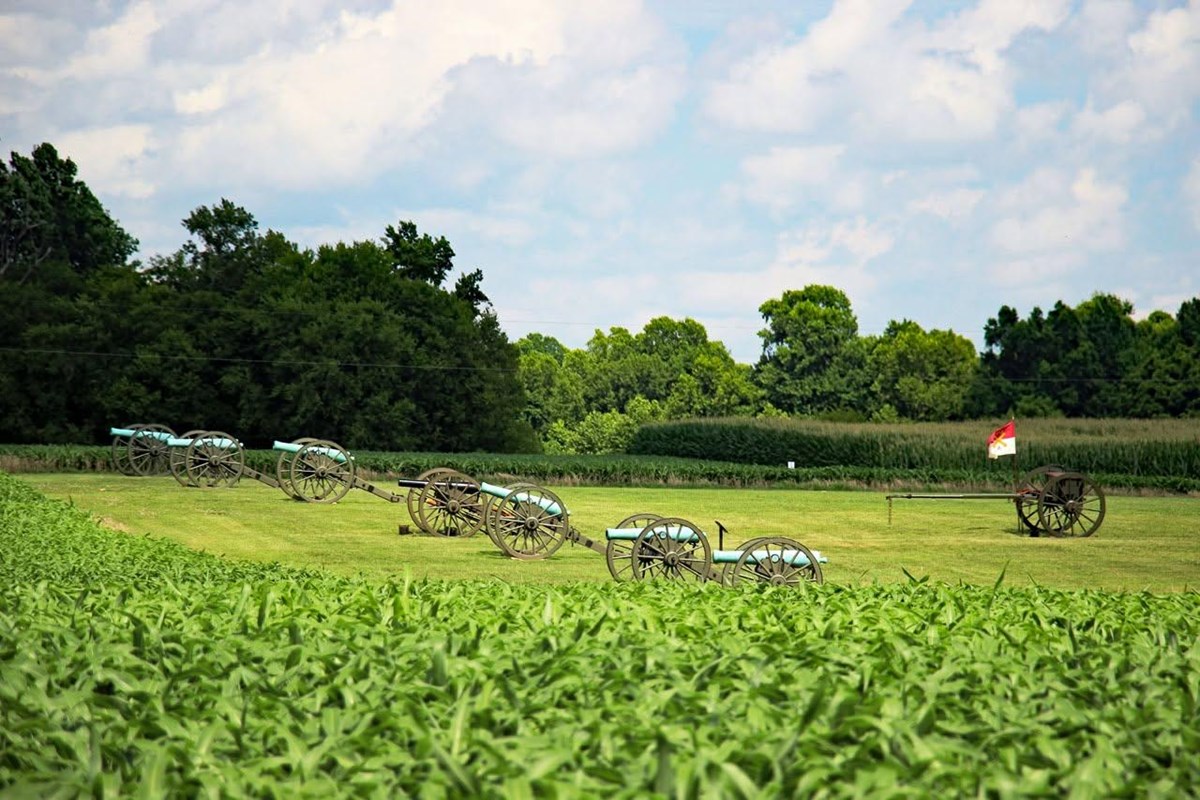 Five weathered, bronze Civil War cannons, lined up side-by-side in a grassy field.