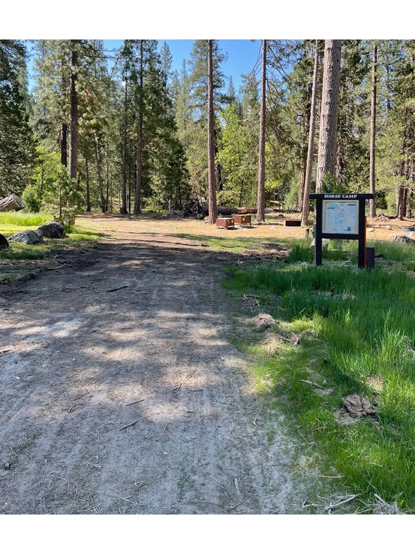 Dirt driveway approaching the campsites