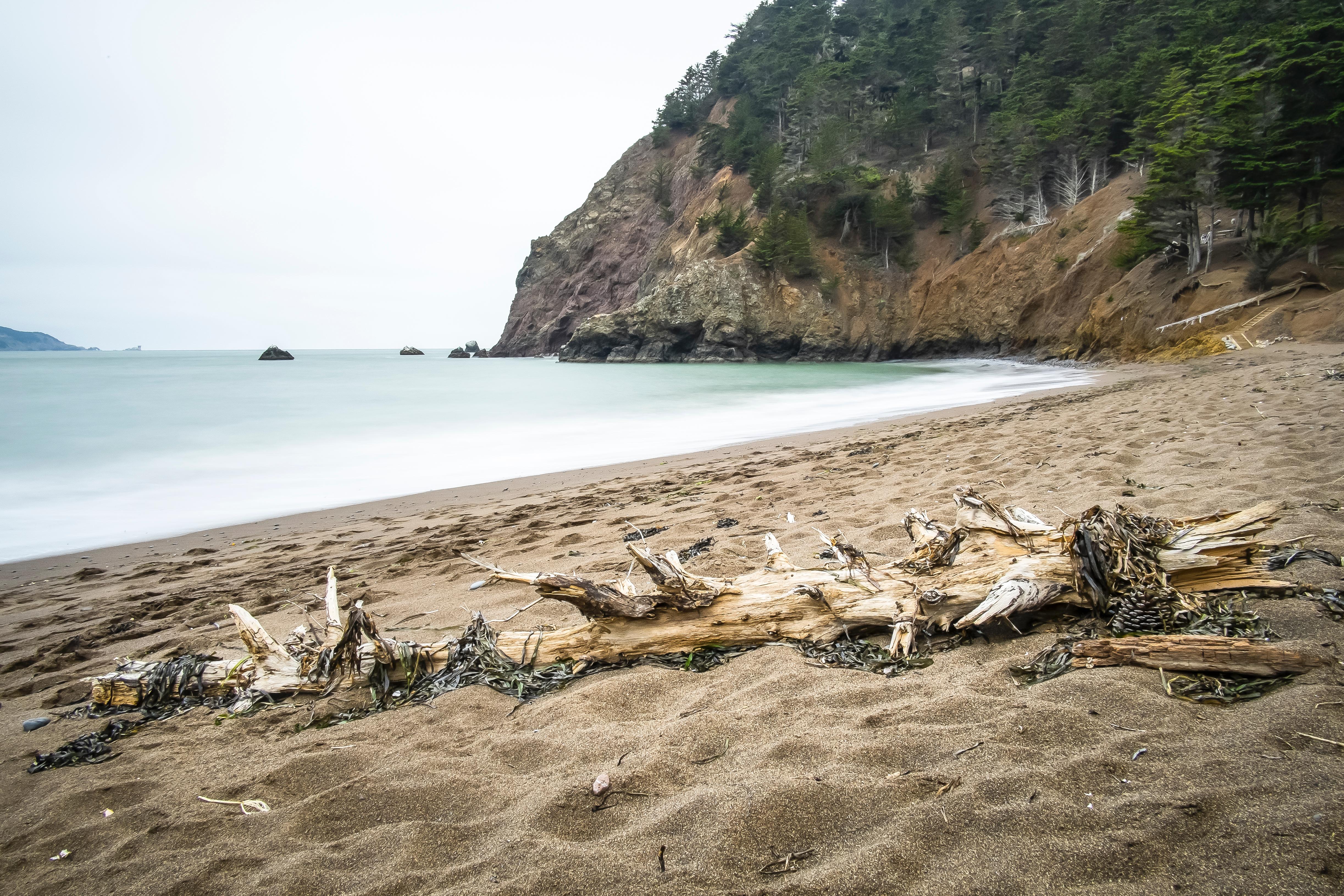 A bleached piece of driftwood on the soft sand with gentle waves caressing the shoreline.