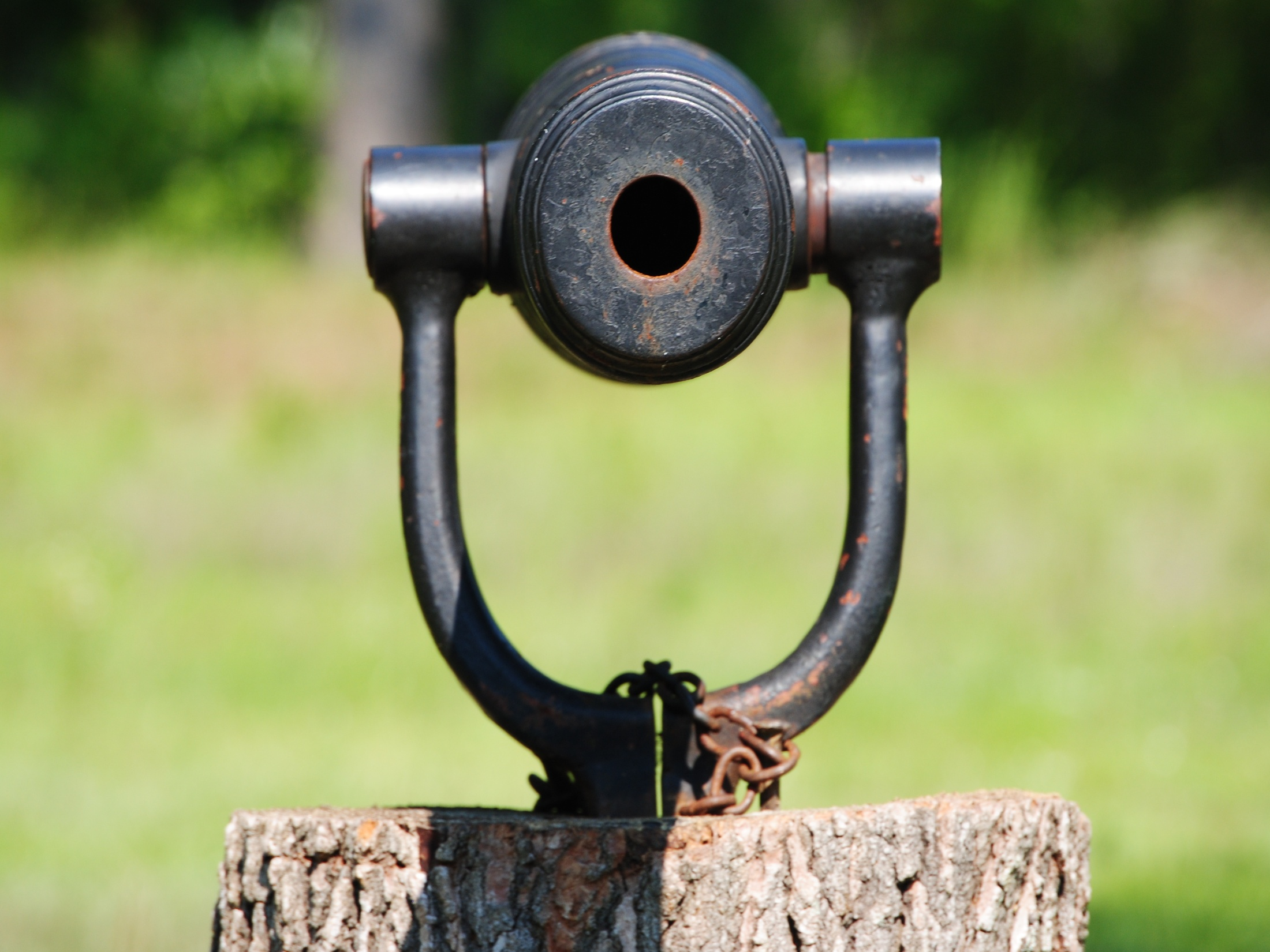 Small Cannon at Moore's Creek.