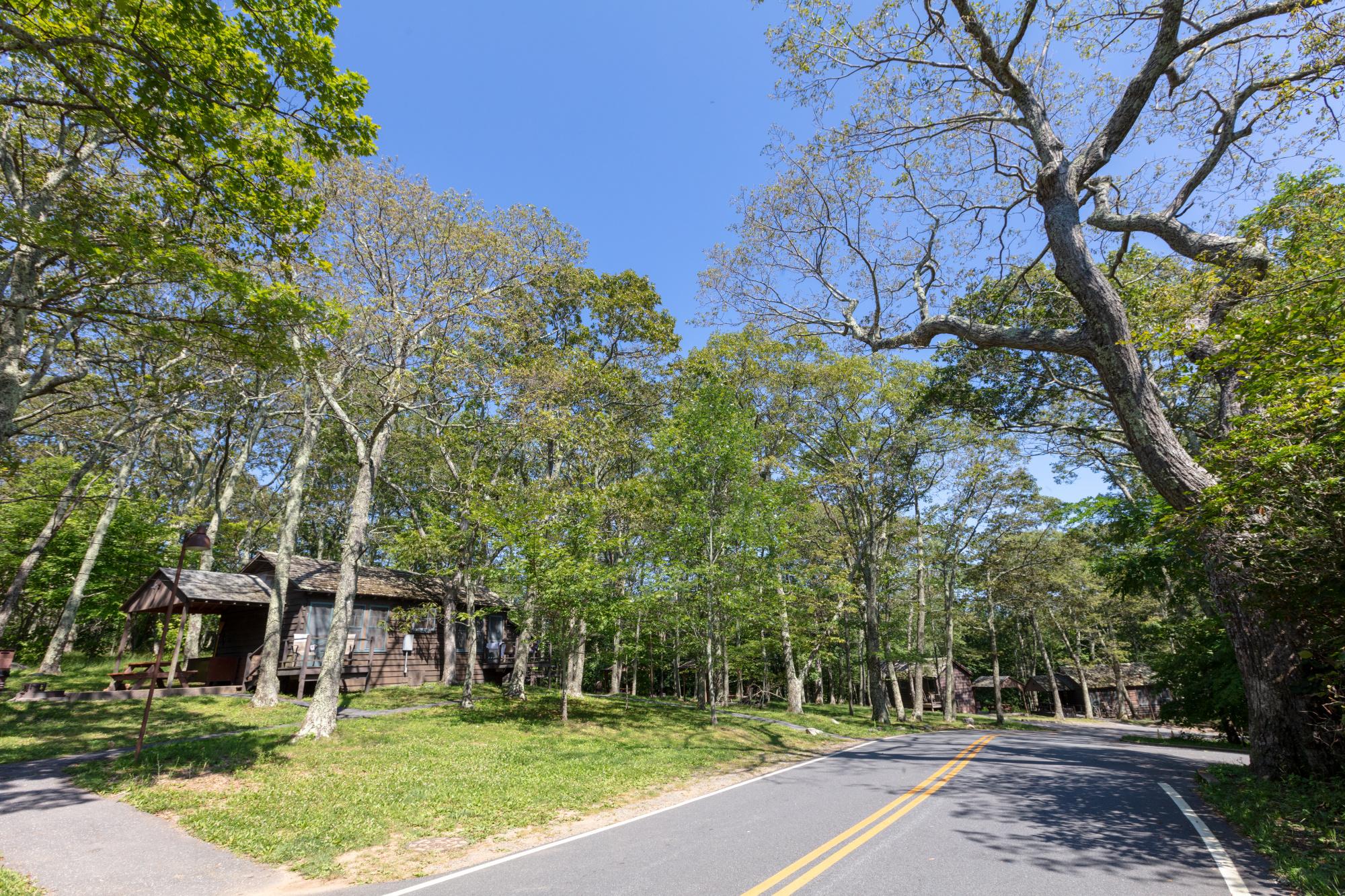 A paved road branches off at the entrance to a campground, with cabins in the distance.