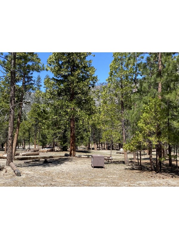 A campsite in Sentinel Campground is nestled among fir trees.