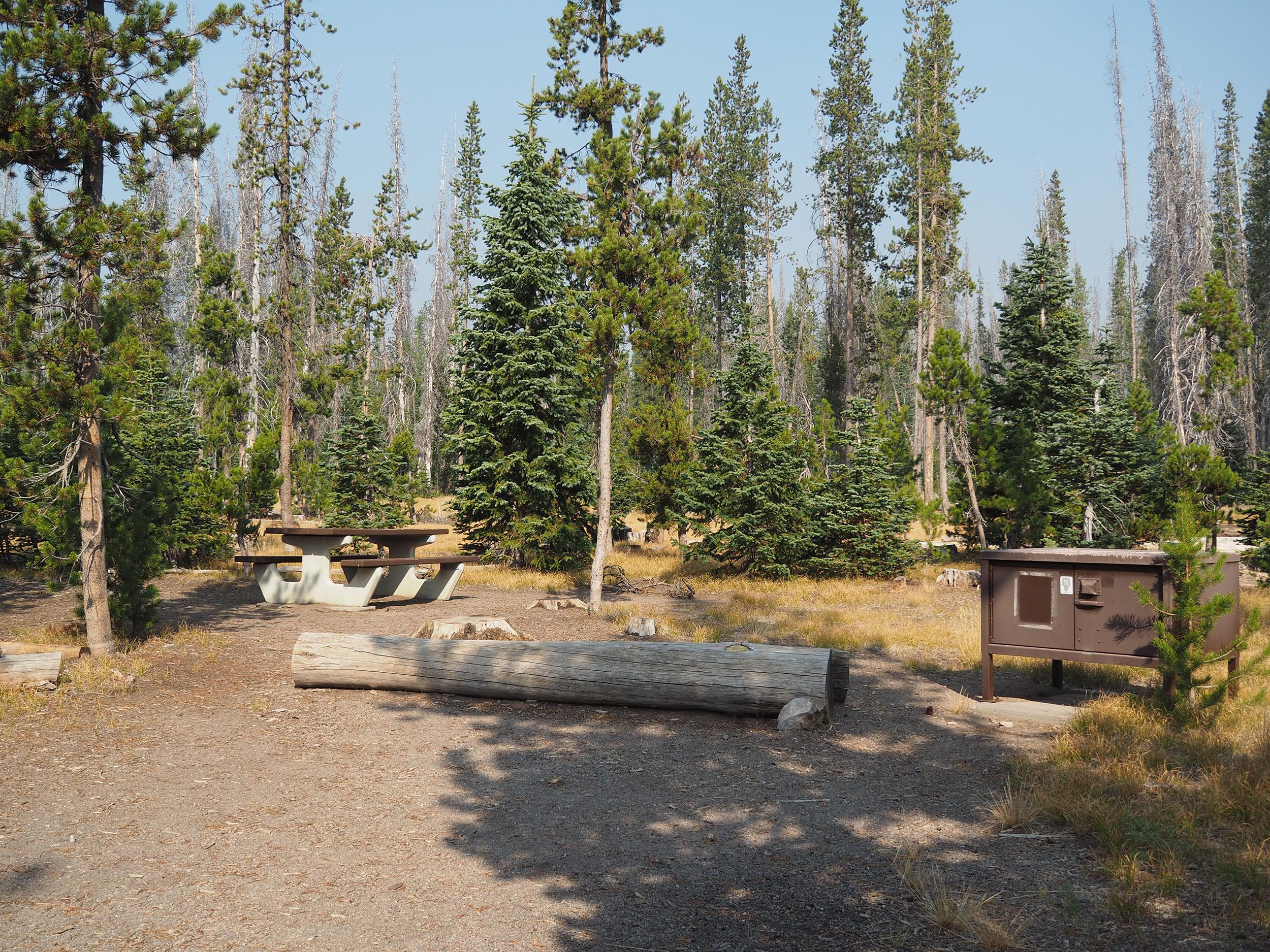 Campsite with picnic table and bear proof storage container