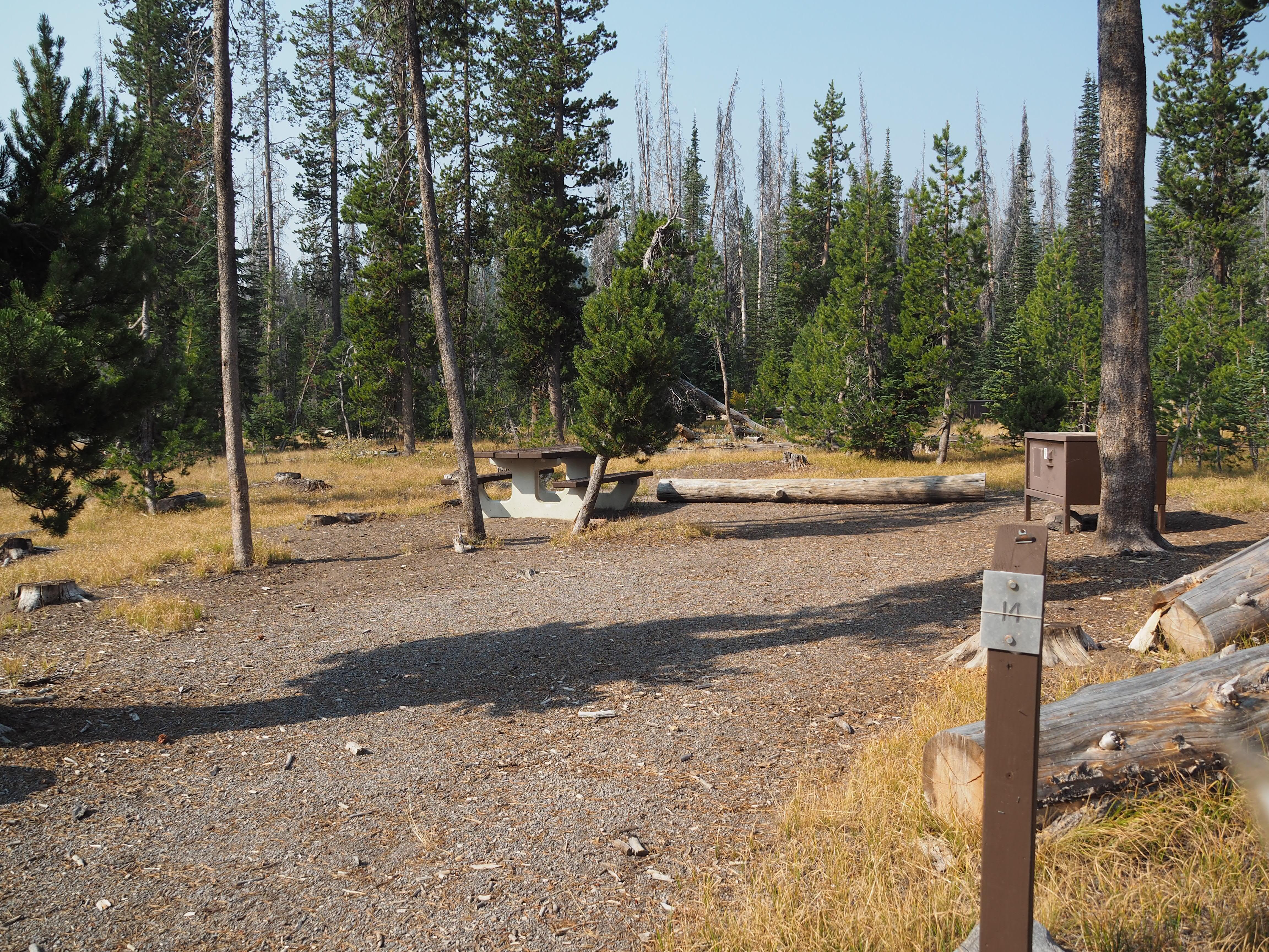 Campsite with picnic table and bear proof storage container, parking area, and site # post