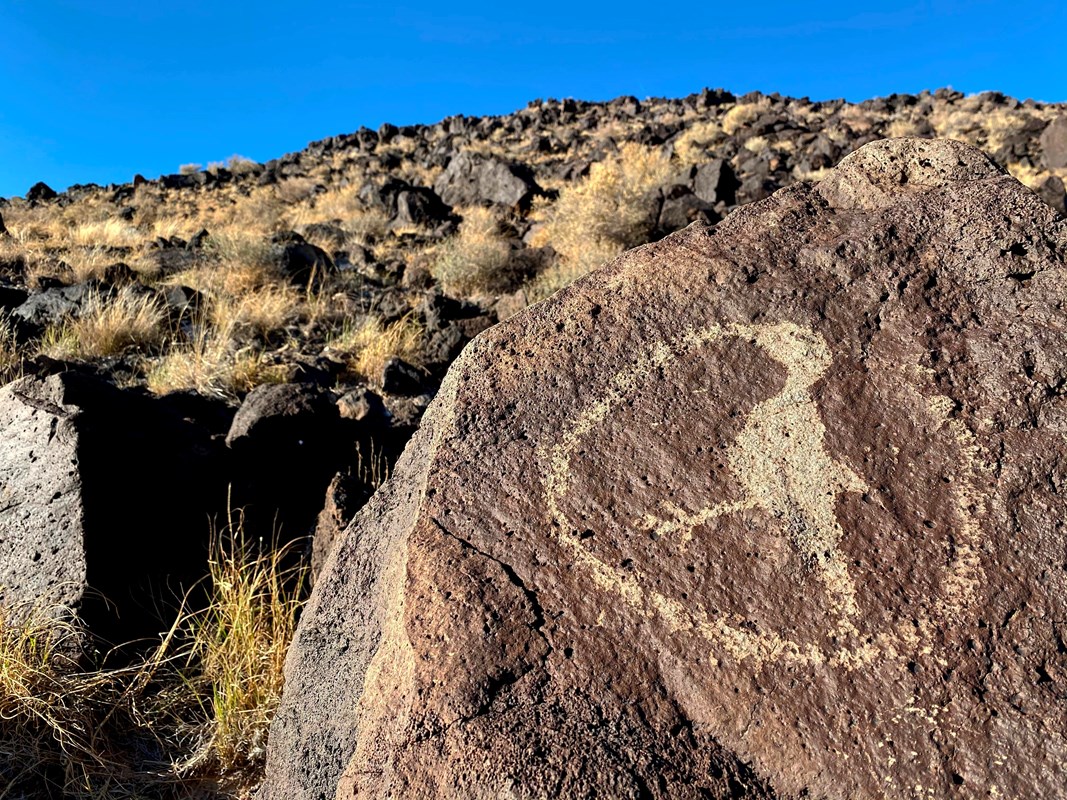 A petroglyph of a bird on a dark boulder.