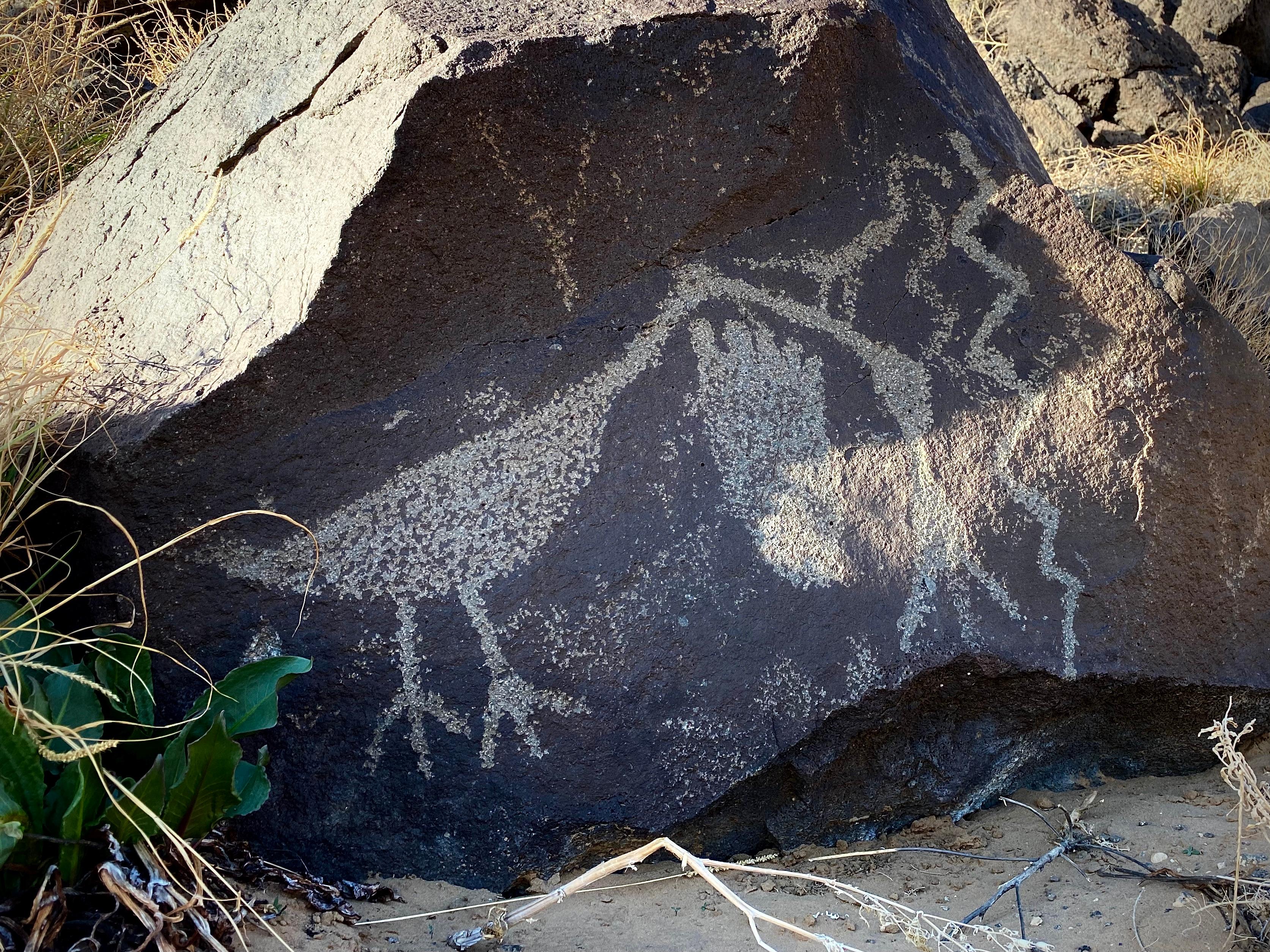 Petroglyphs of a bird and a footprint on a dark boulder.