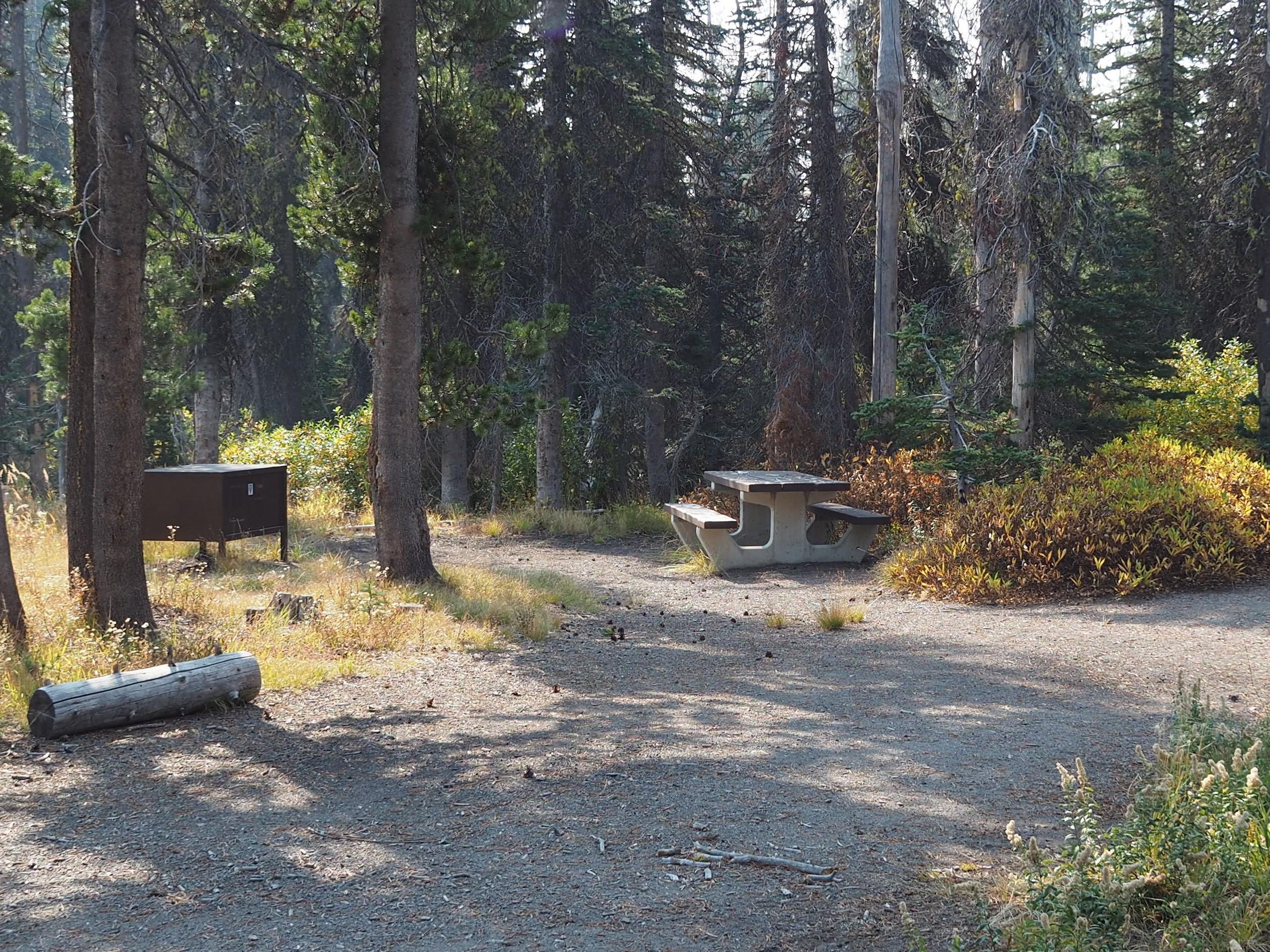 Campsite with picnic table and bear proof storage container