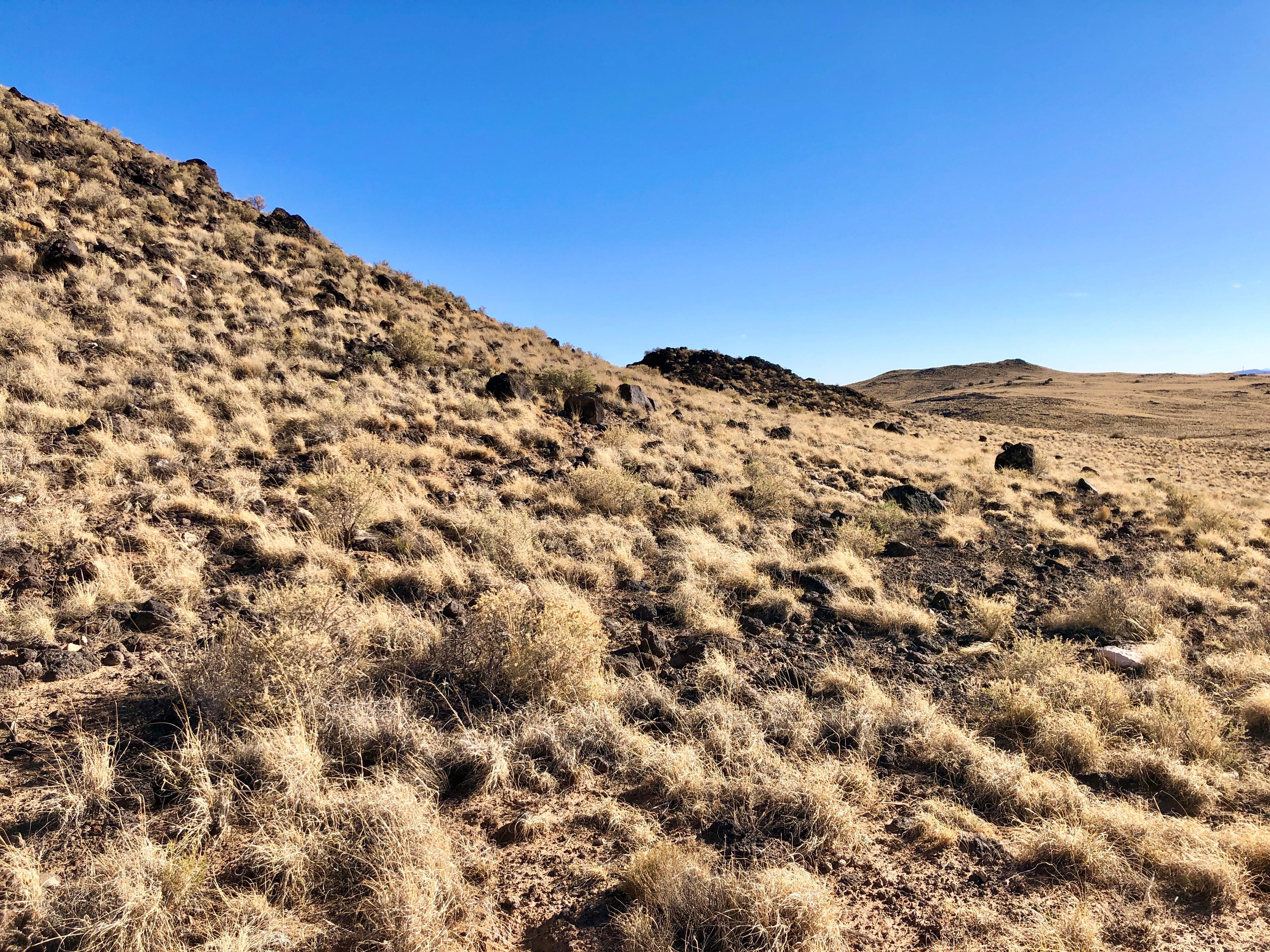 A view of the cinder cones covered by dormant grasses.