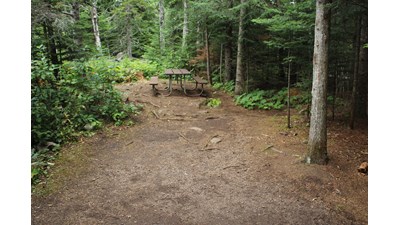 Campsite surrounded by trees with a cleared area in the foreground and picnic table in the backgroun