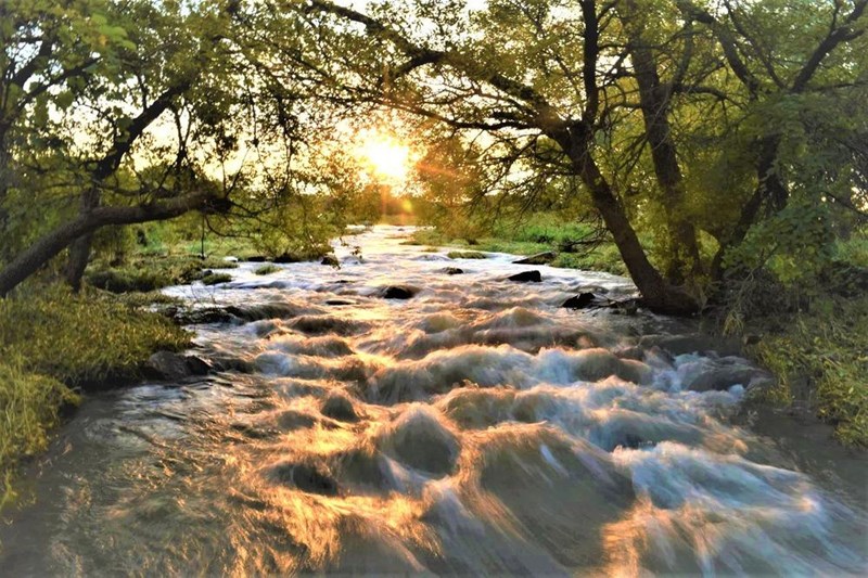 Sunrise over Pipestone Creek Sun reflecting off of water through a canopy of trees