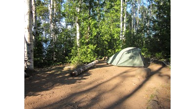 A tent on a bare patch of ground surrounded by trees at South Desor Campground.