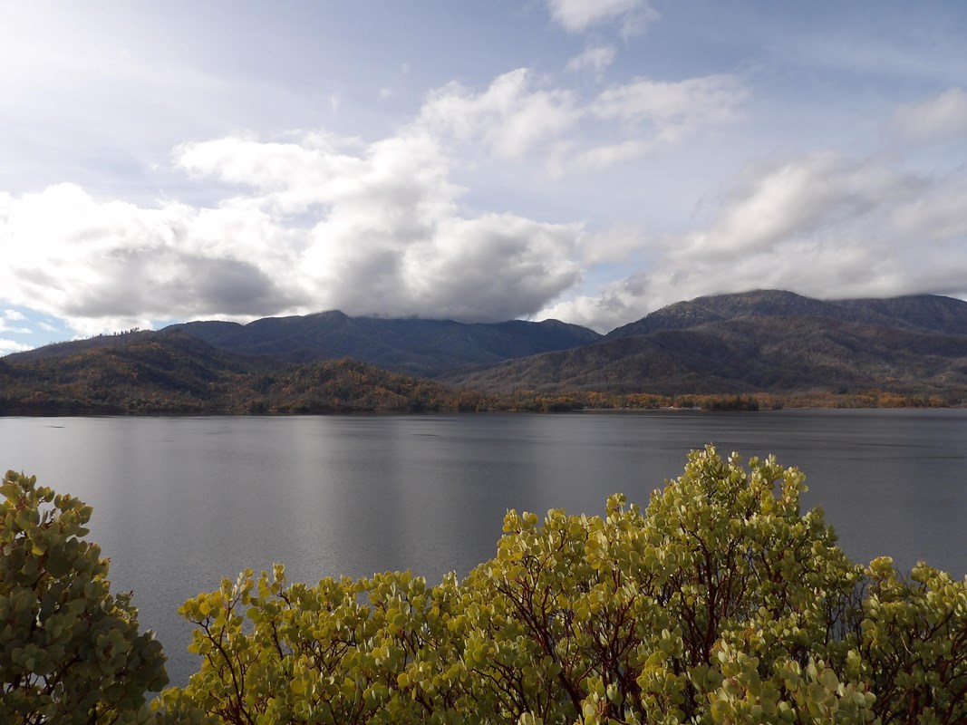 Blue-gray waters of lake with green shrub in foreground, mountains and clouds in background.