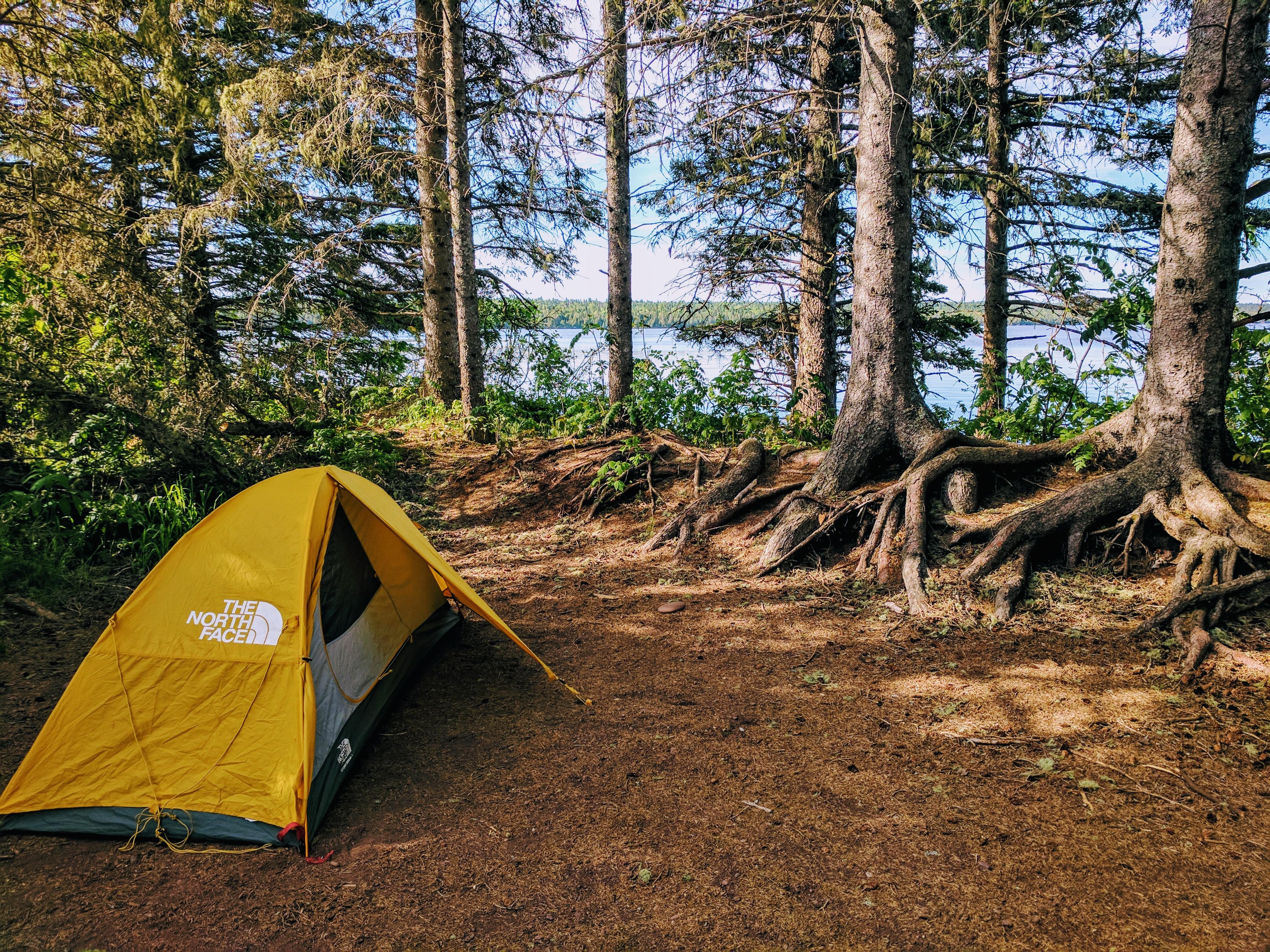 Yellow tent sits on the edge of trees which sit on the edge of Feldtmann Lake.