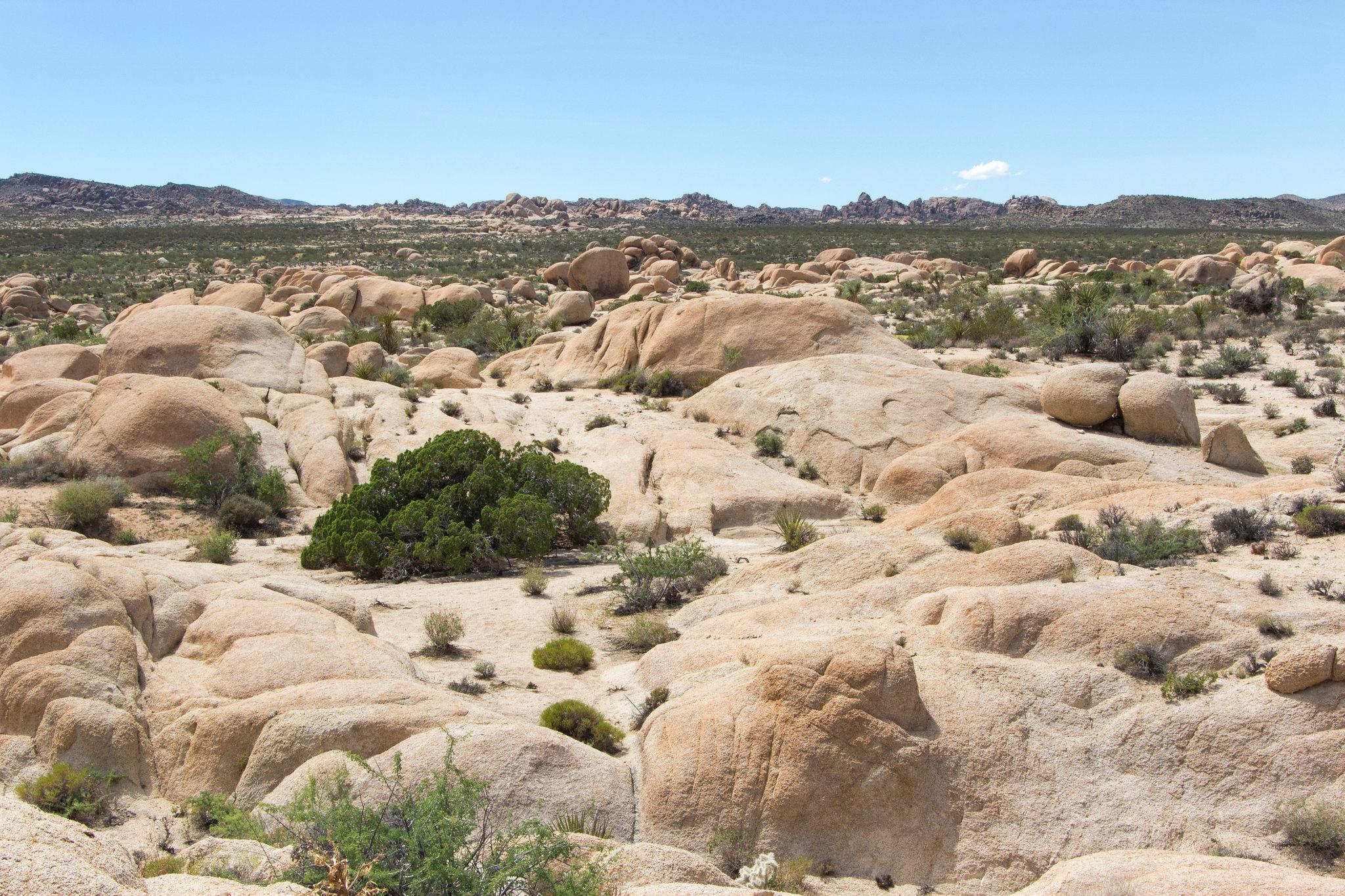 Rocky desert landscape