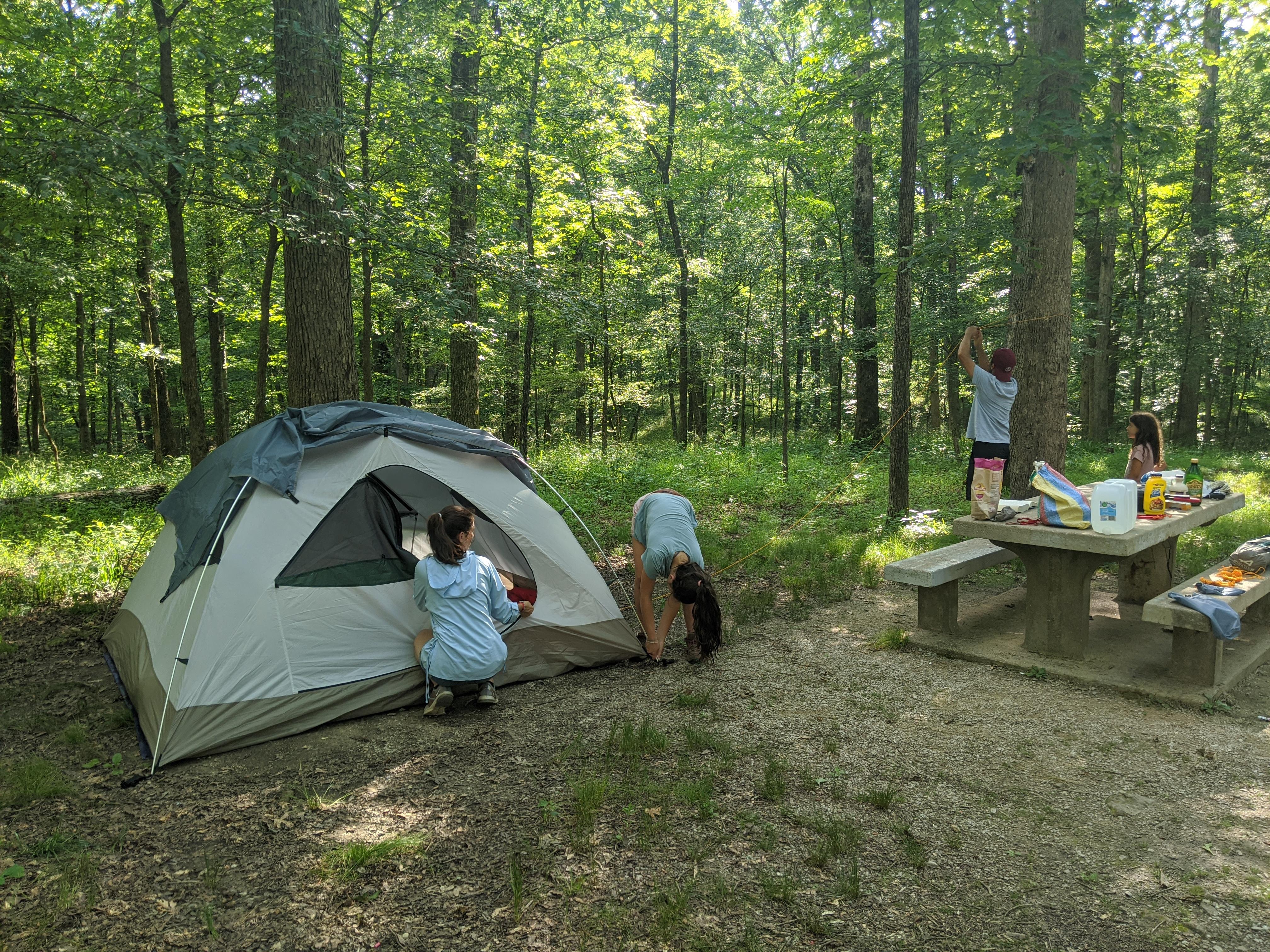 A white and blue tent and fire ring in a woodland setting