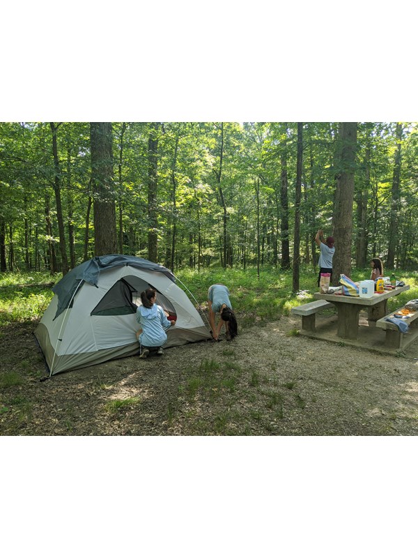A white and blue tent and fire ring in a woodland setting