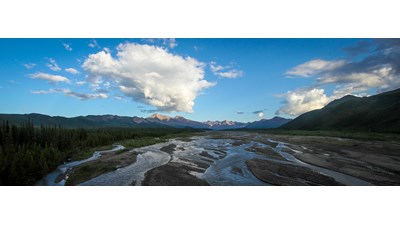 a wide, braided river flowing past forests and mountains