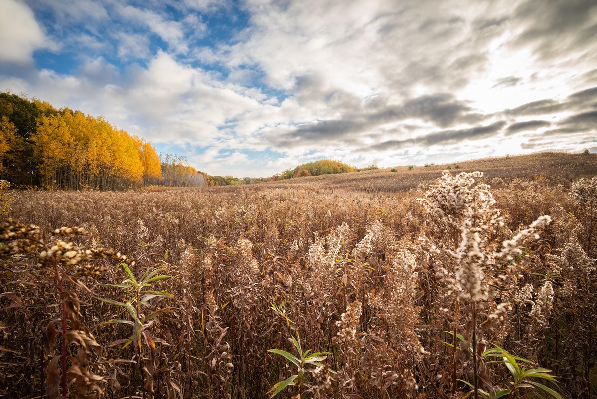 Photograph of an autumn prairie scene with rolling hills edged by trees under a partly cloudy sky.