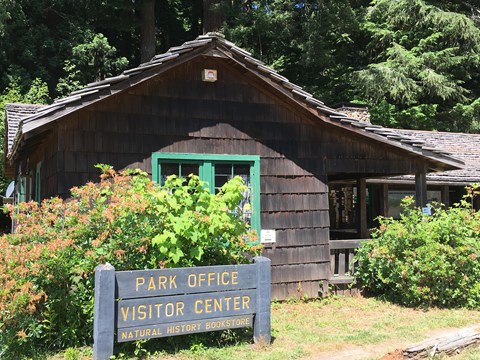 A wooden building next to redwood trees.